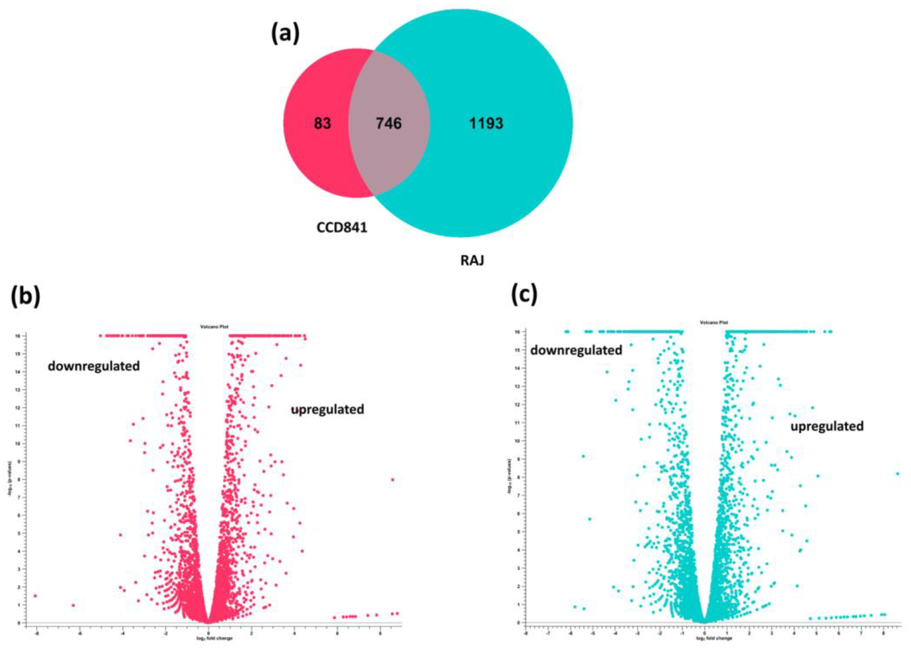 Preprints 85172 g002