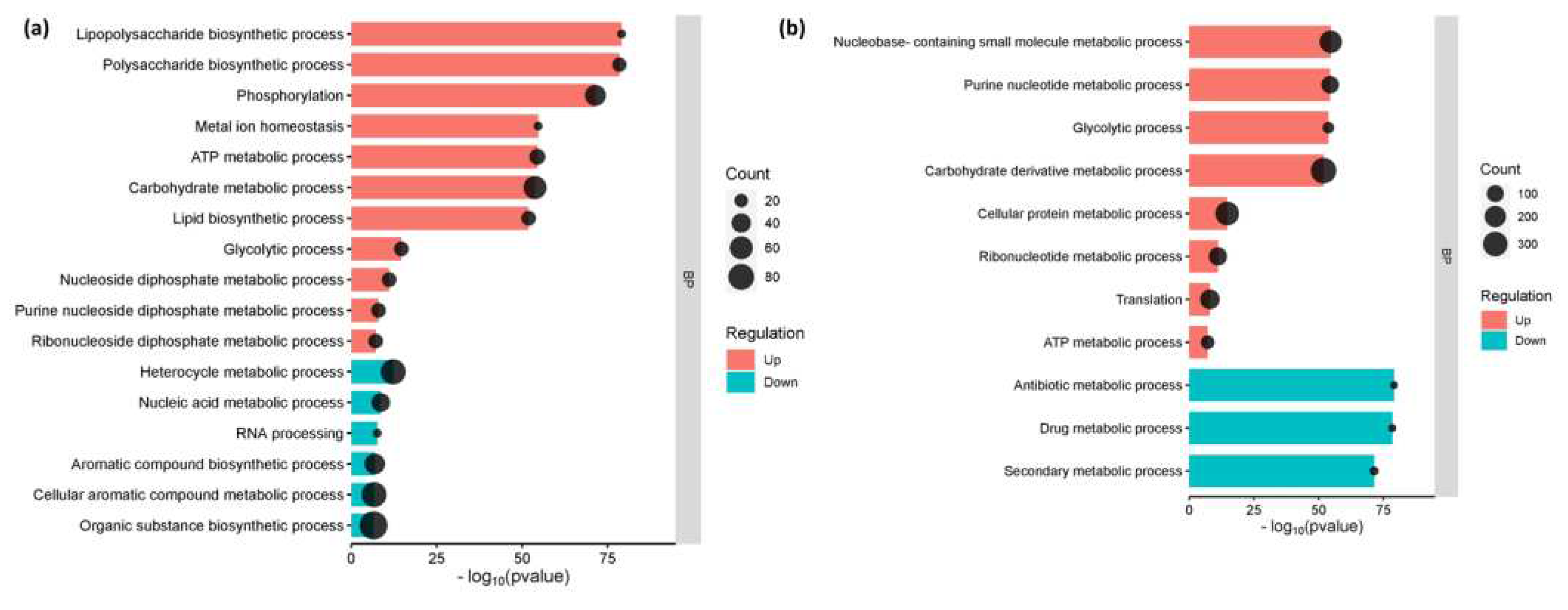 Preprints 85172 g003