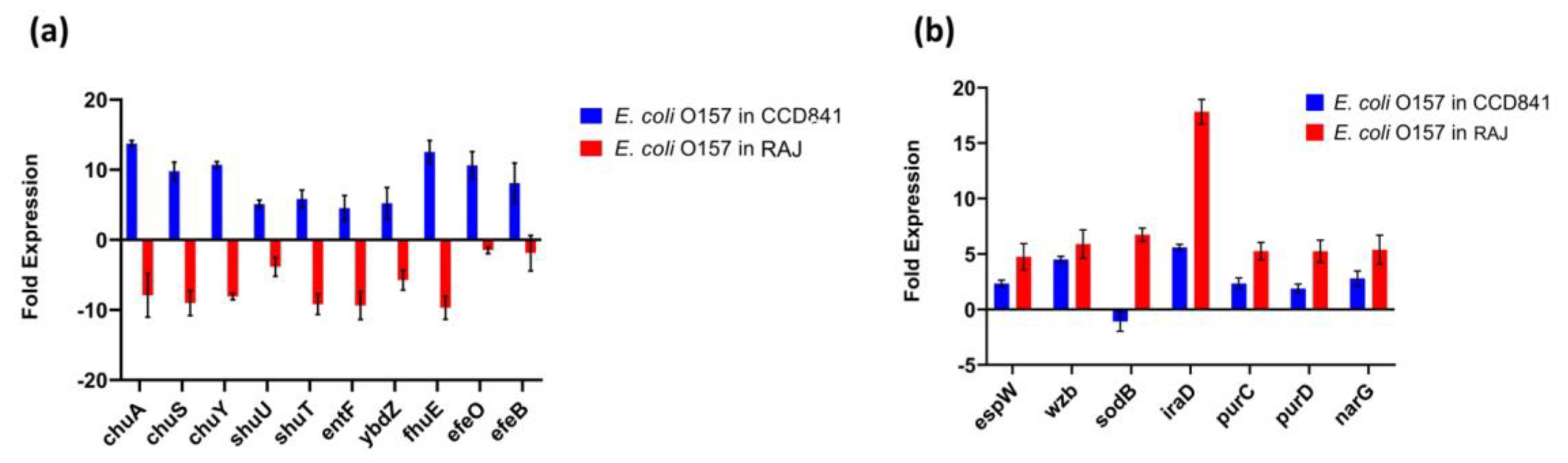 Preprints 85172 g004