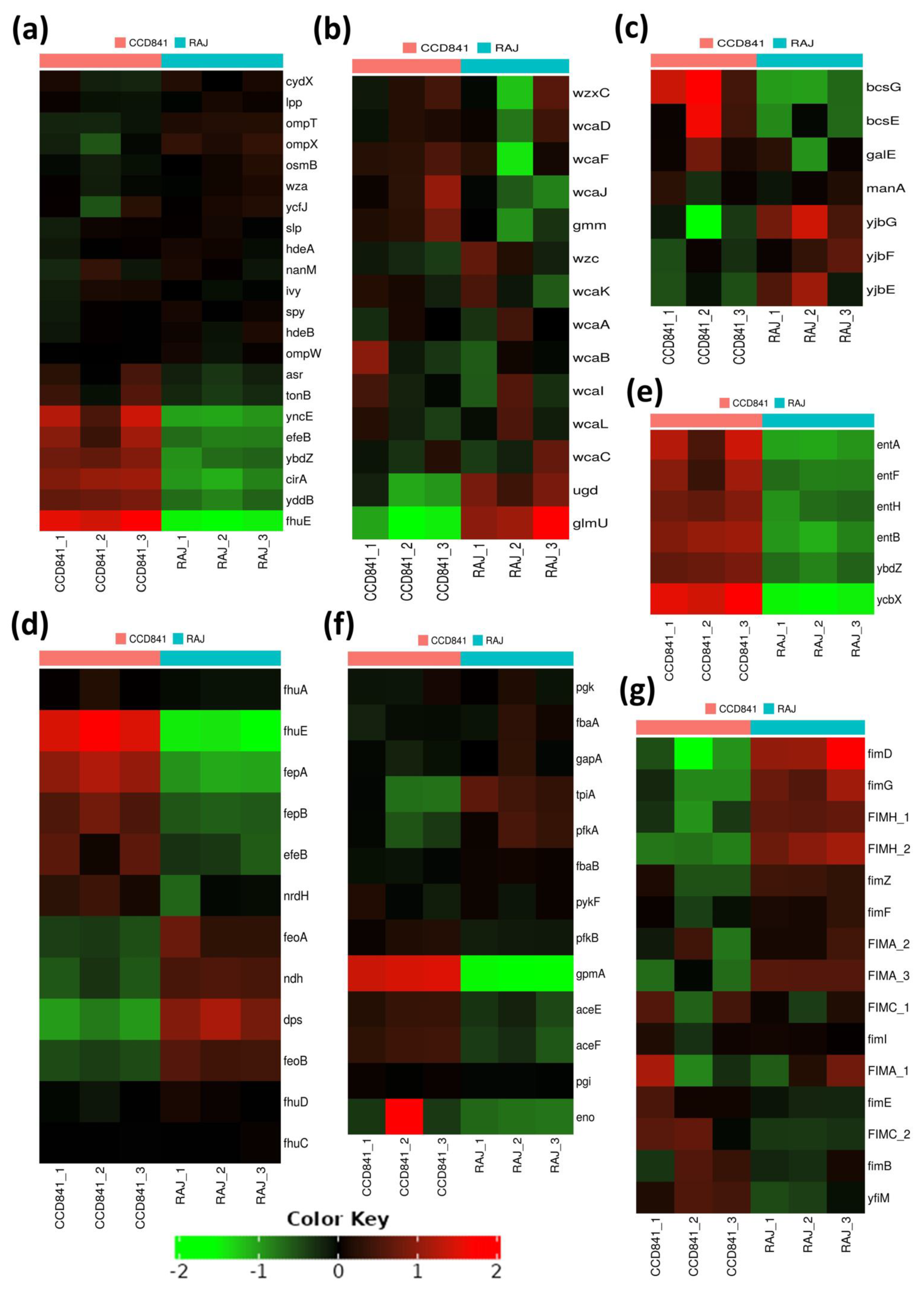 Preprints 85172 g005