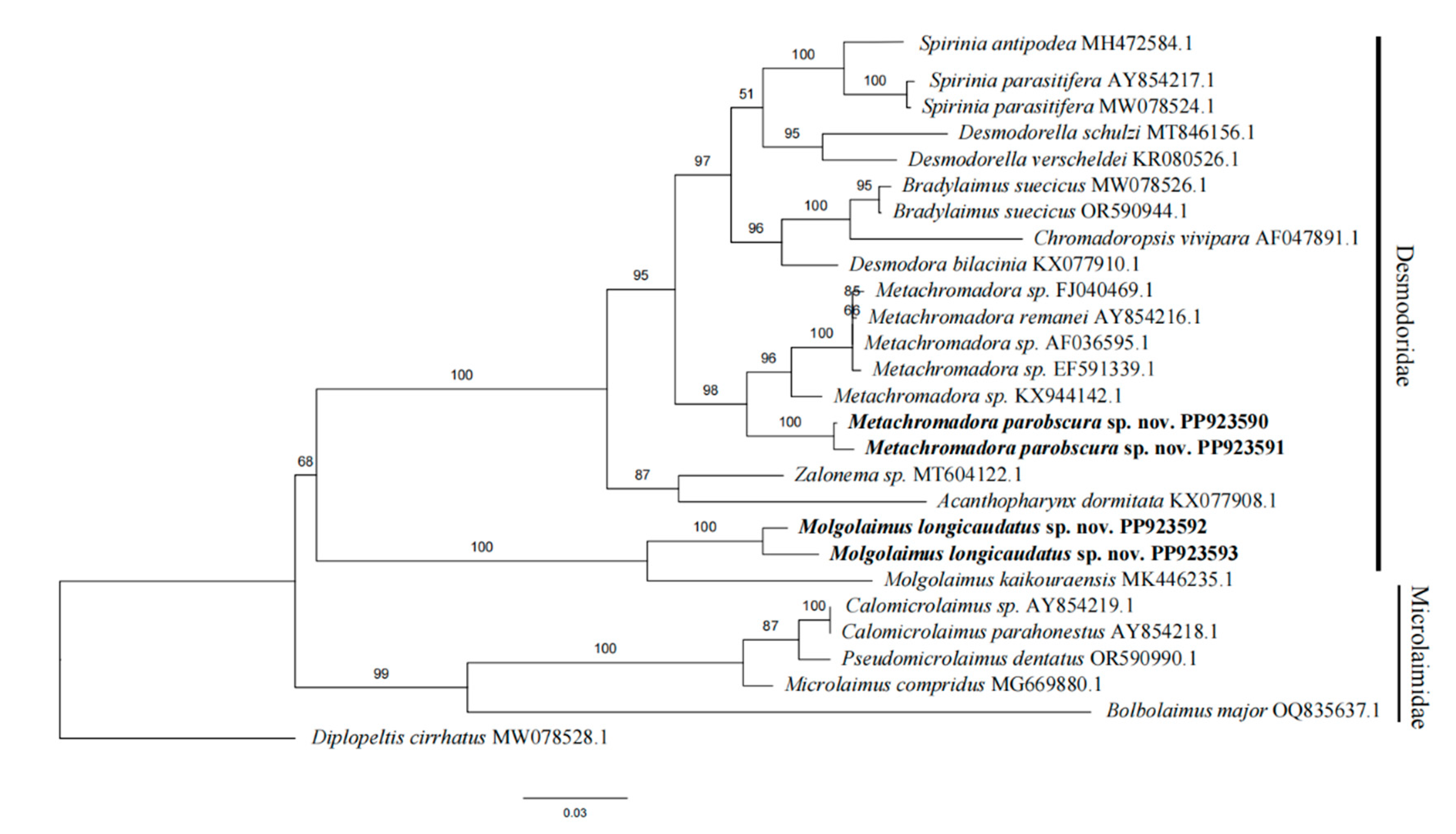 Preprints 111129 g005