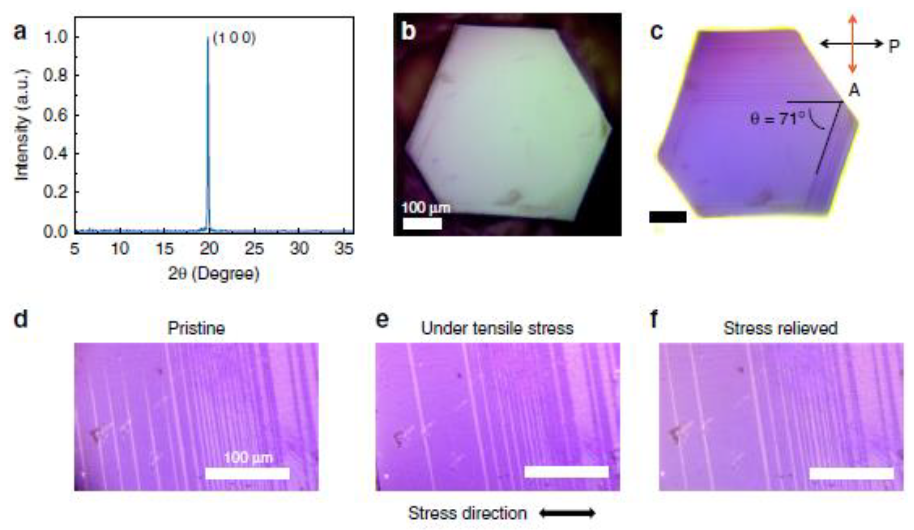 Preprints 118725 g004