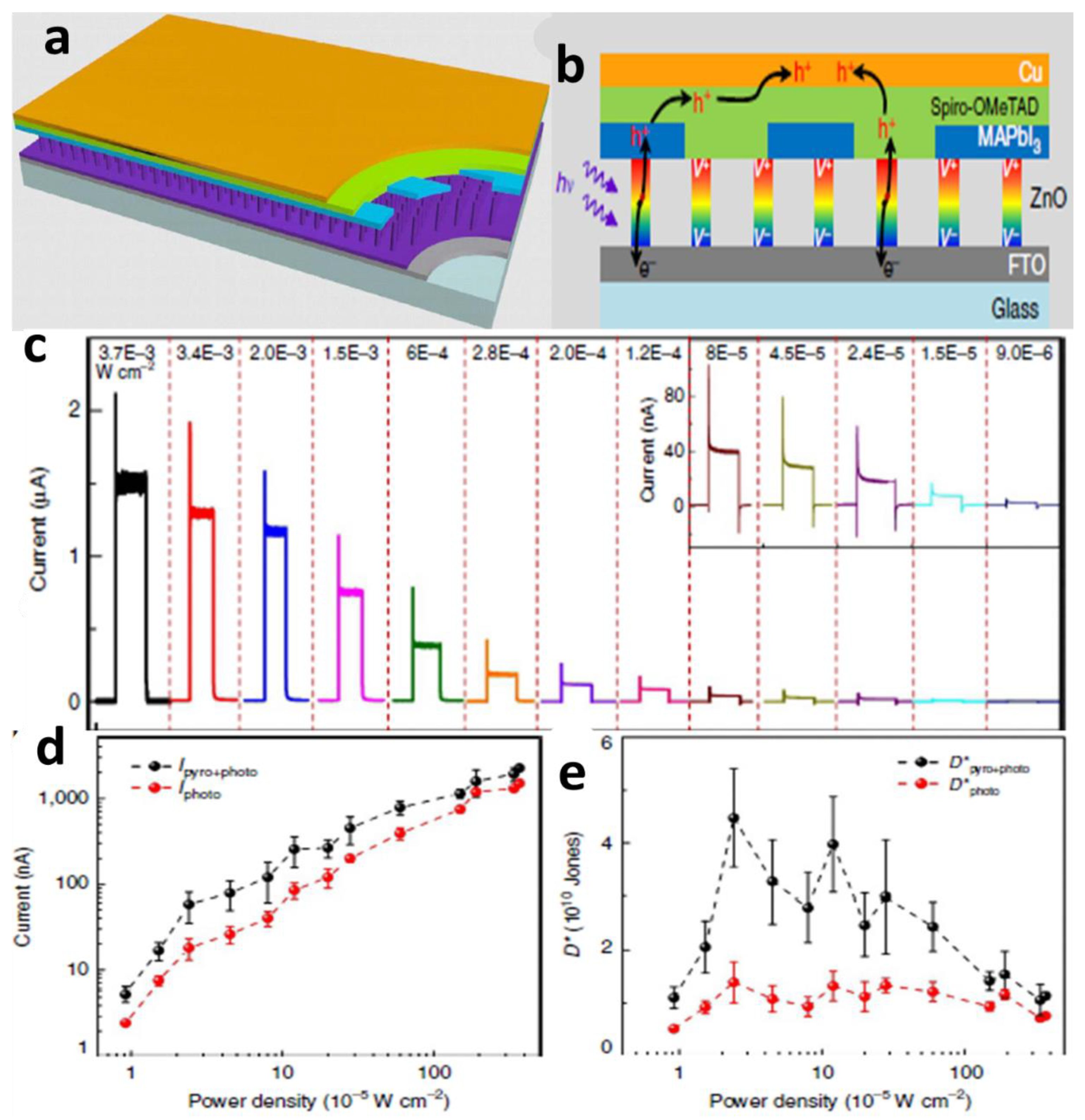 Preprints 118725 g010