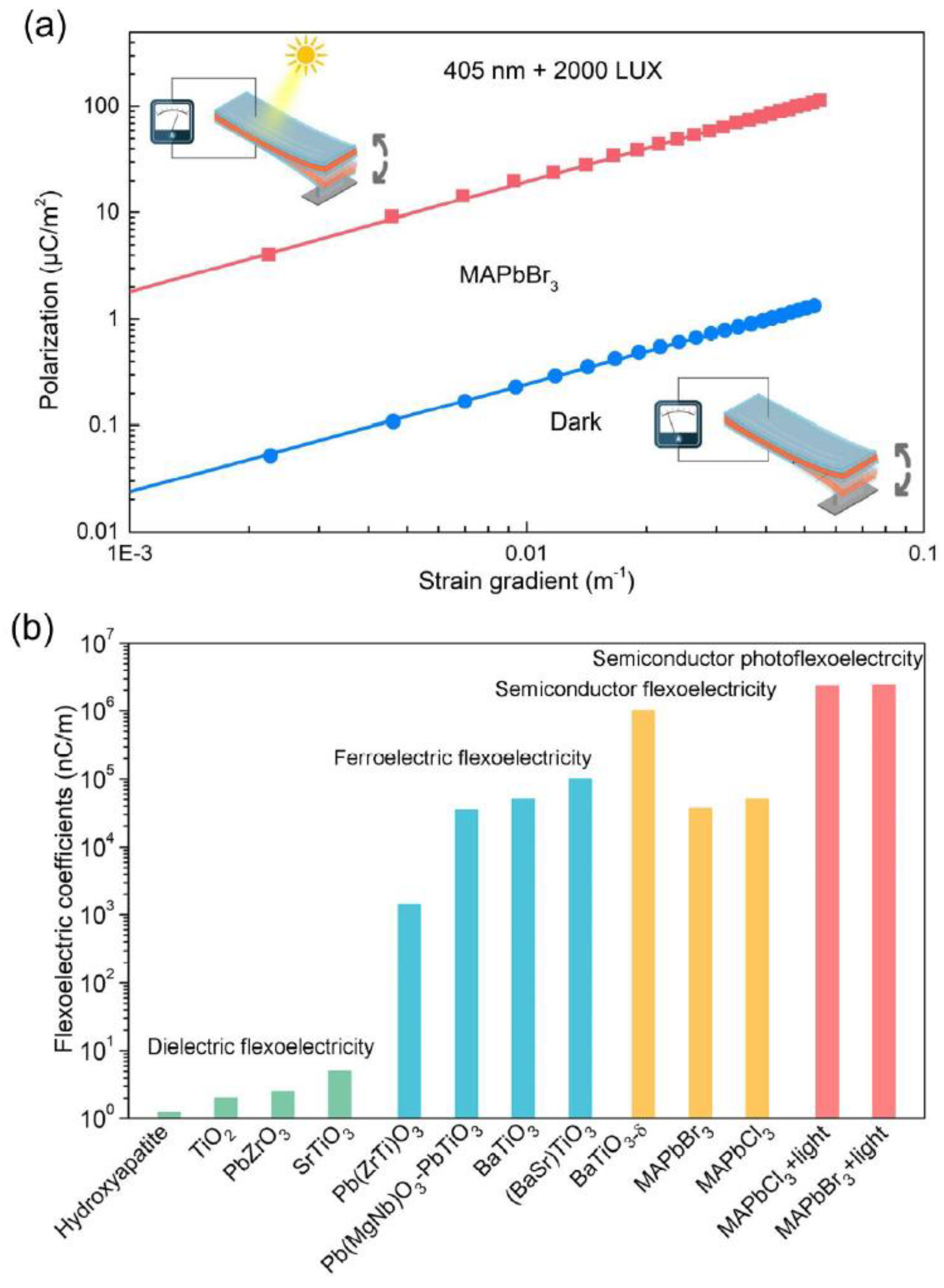 Preprints 118725 g022