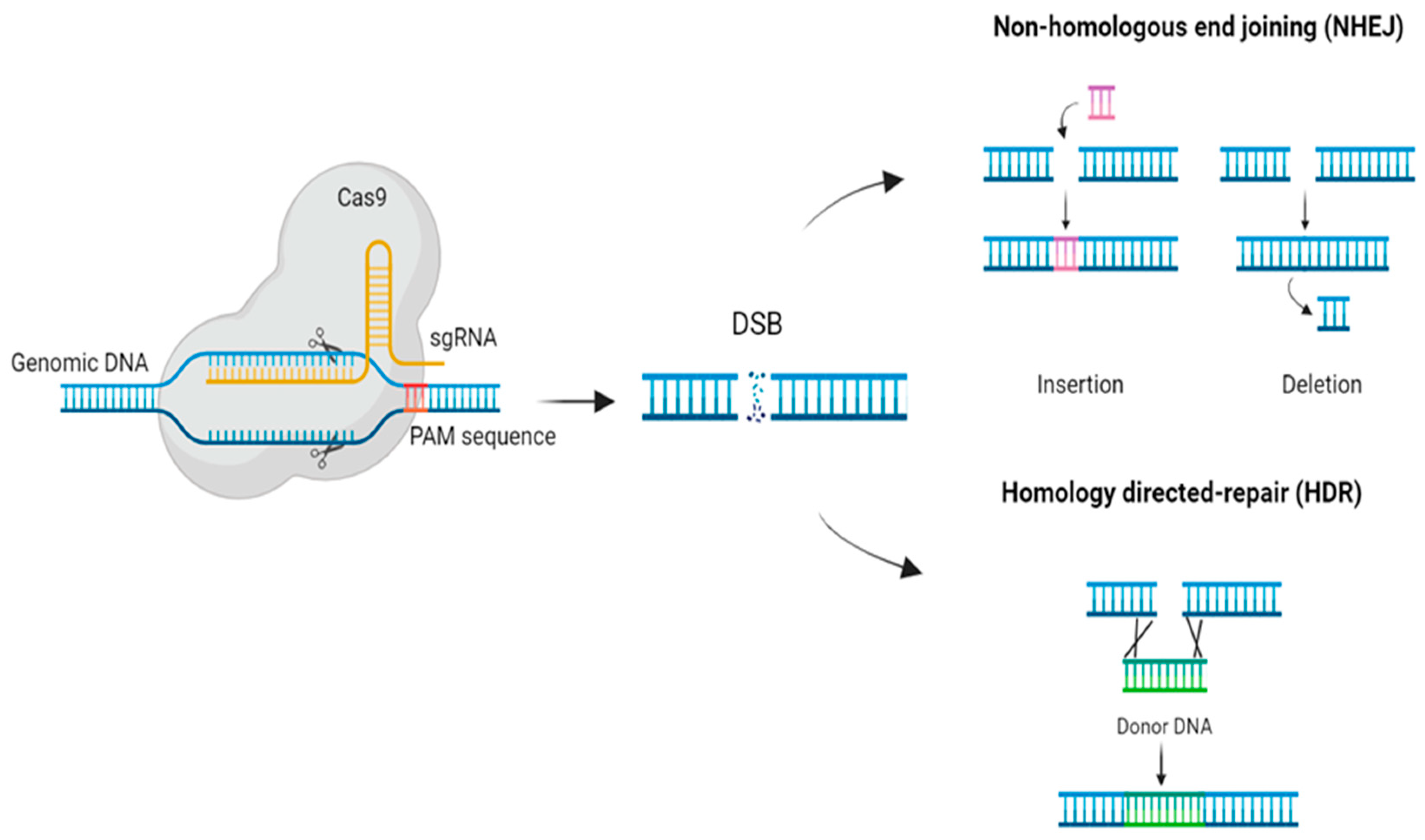 Preprints 89481 g001