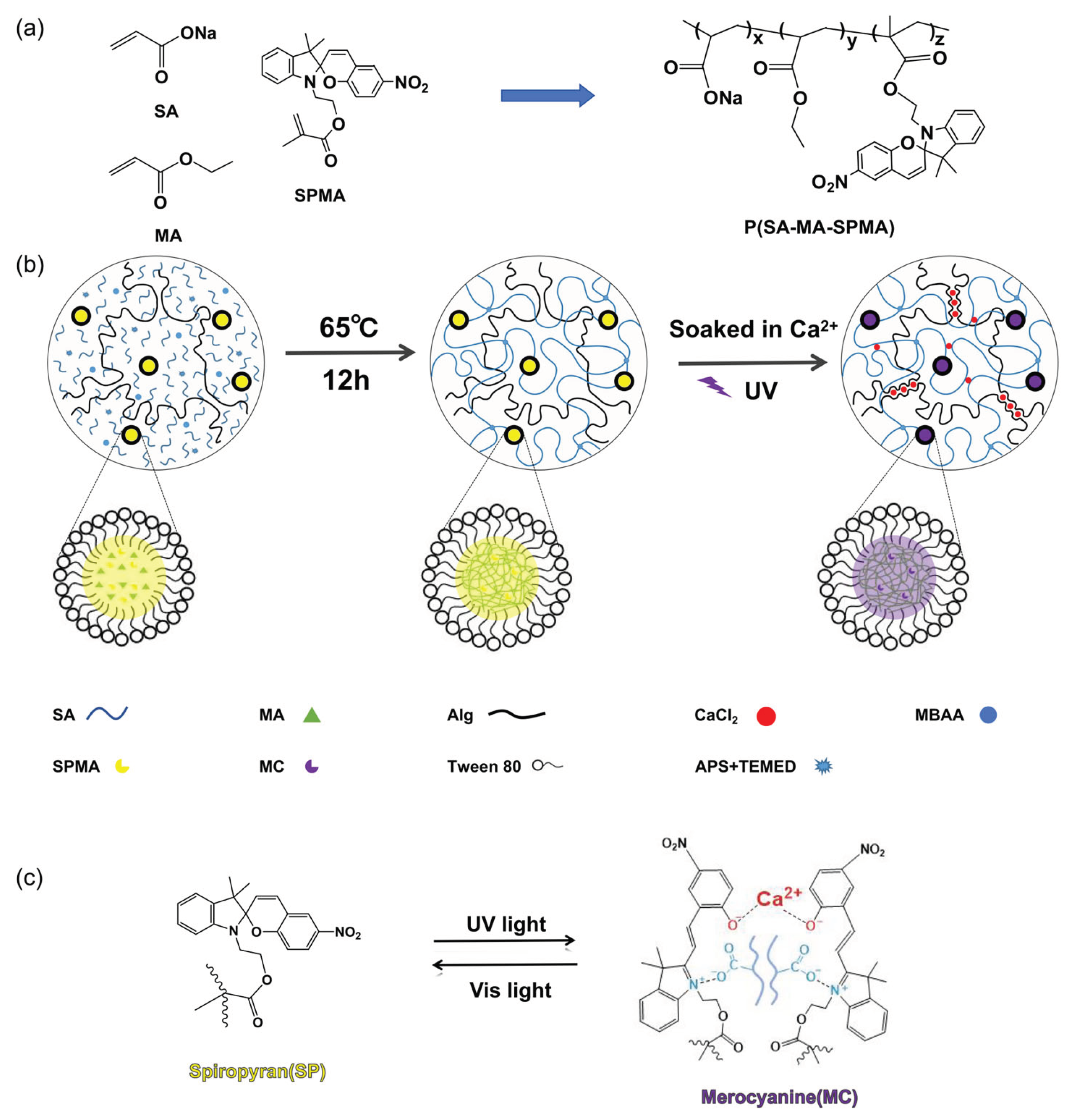 Preprints 100013 g001