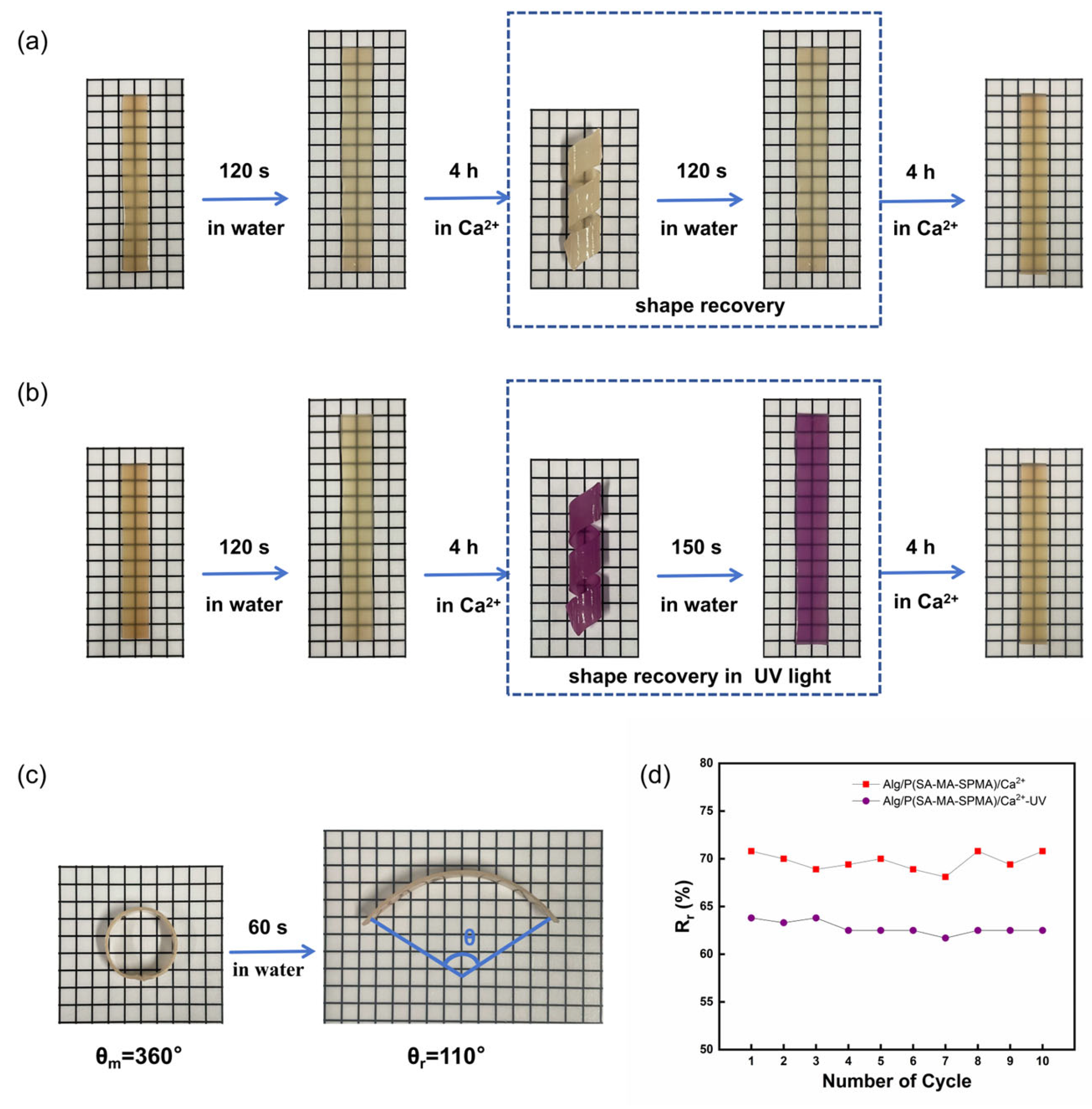 Preprints 100013 g004