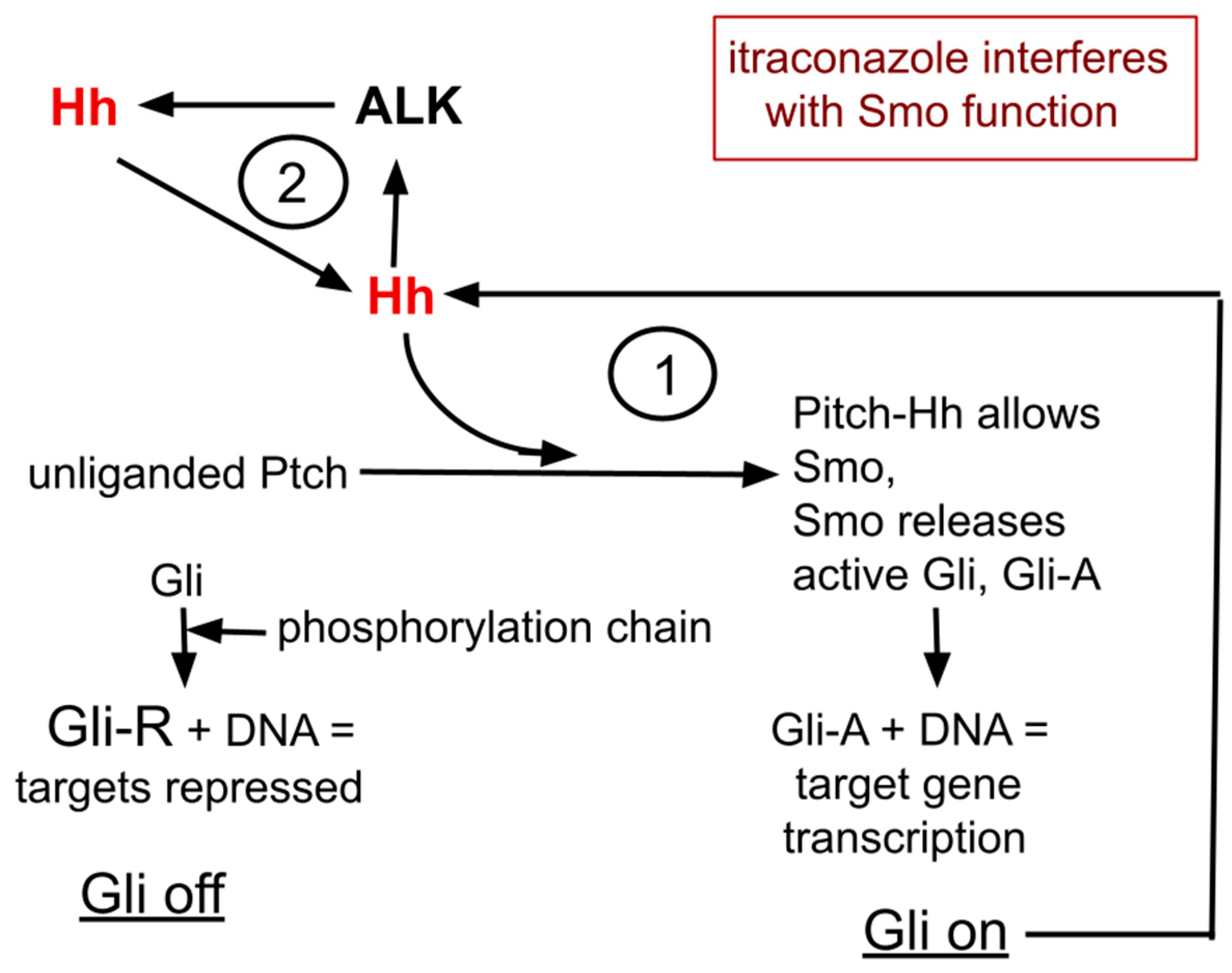 Preprints 108983 g001