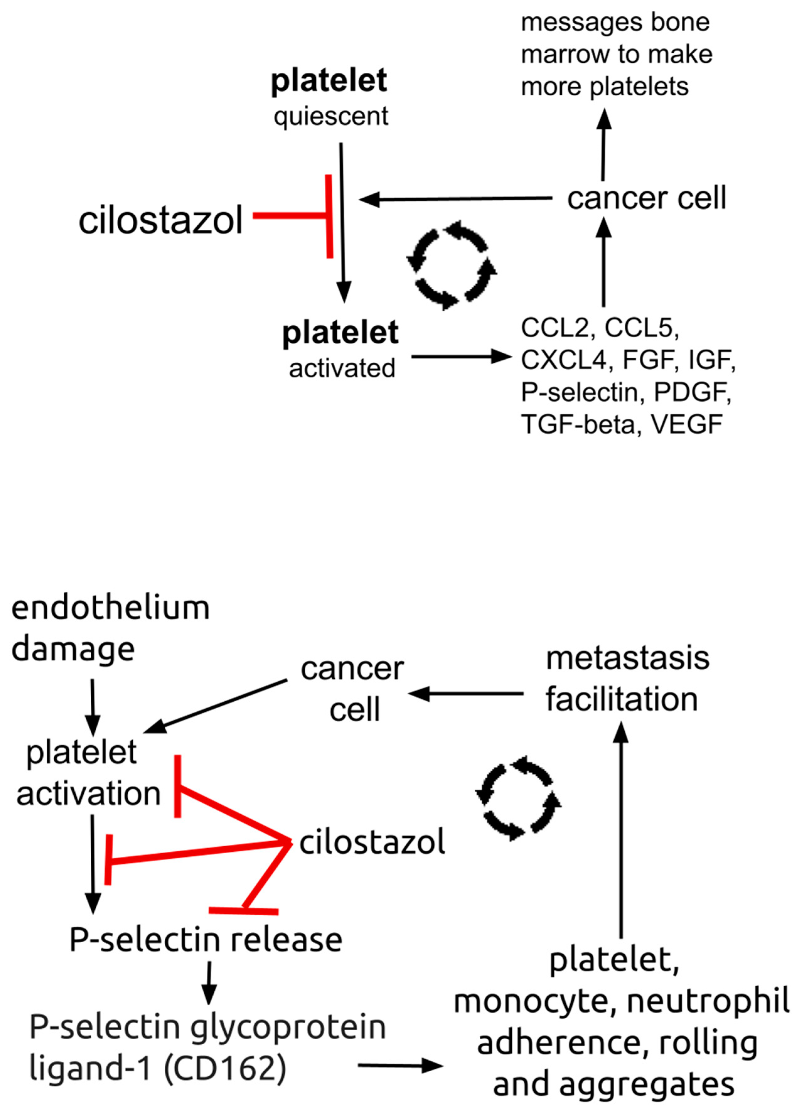 Preprints 108983 g002