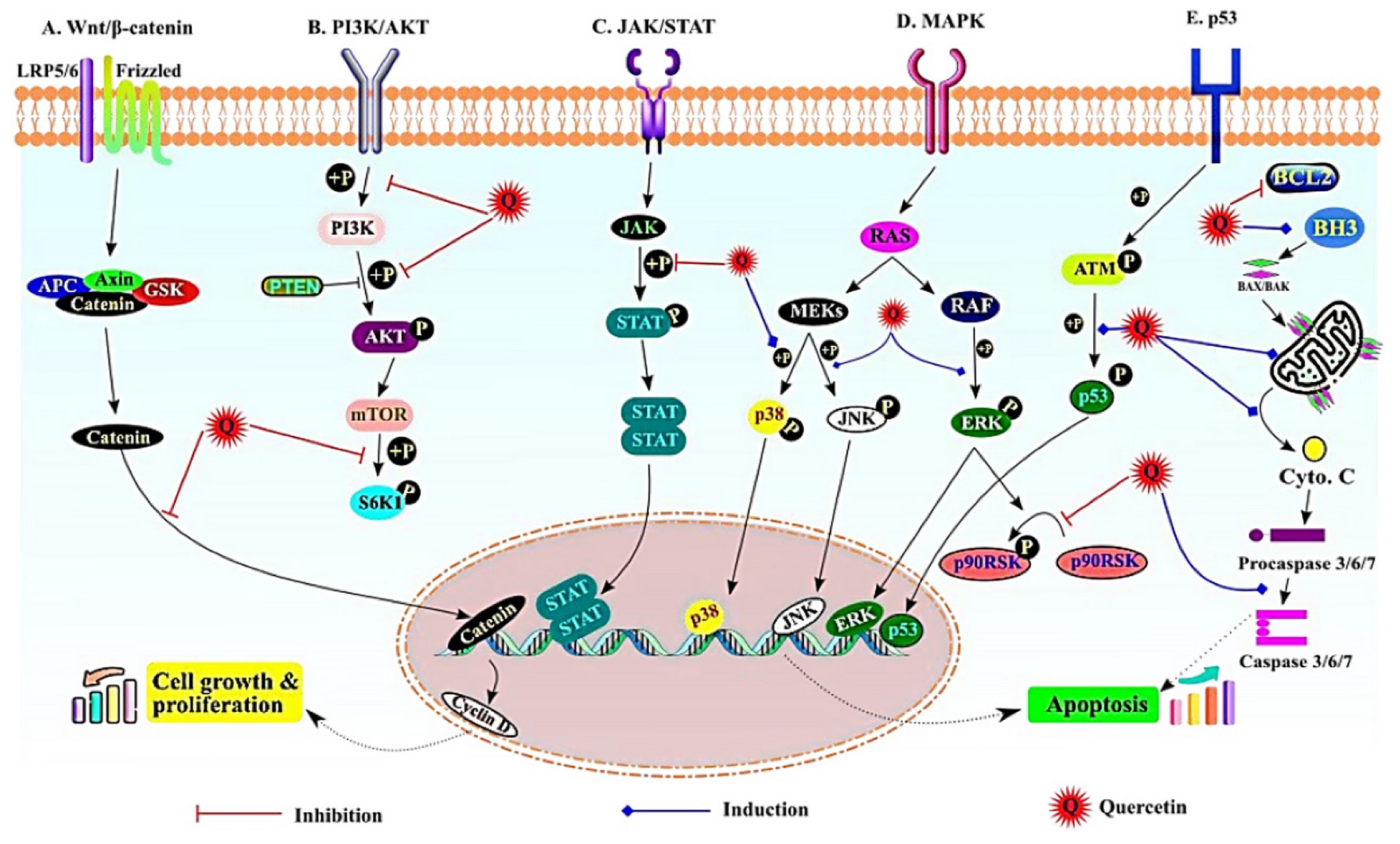 Preprints 91892 g005