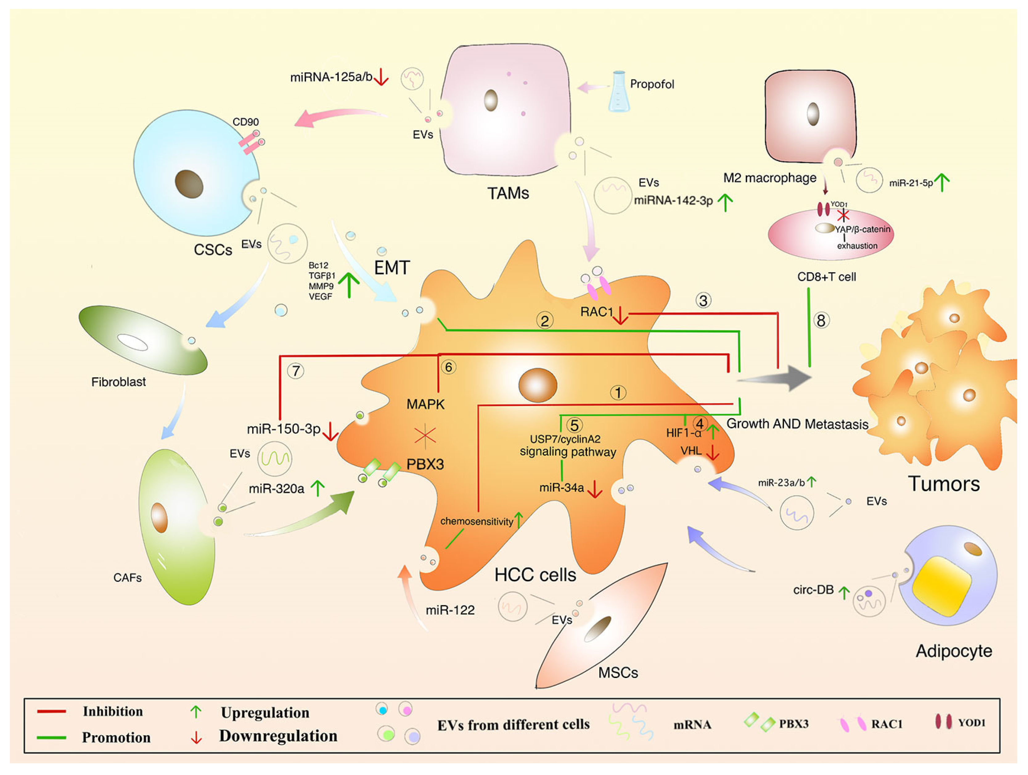 Preprints 91892 g006