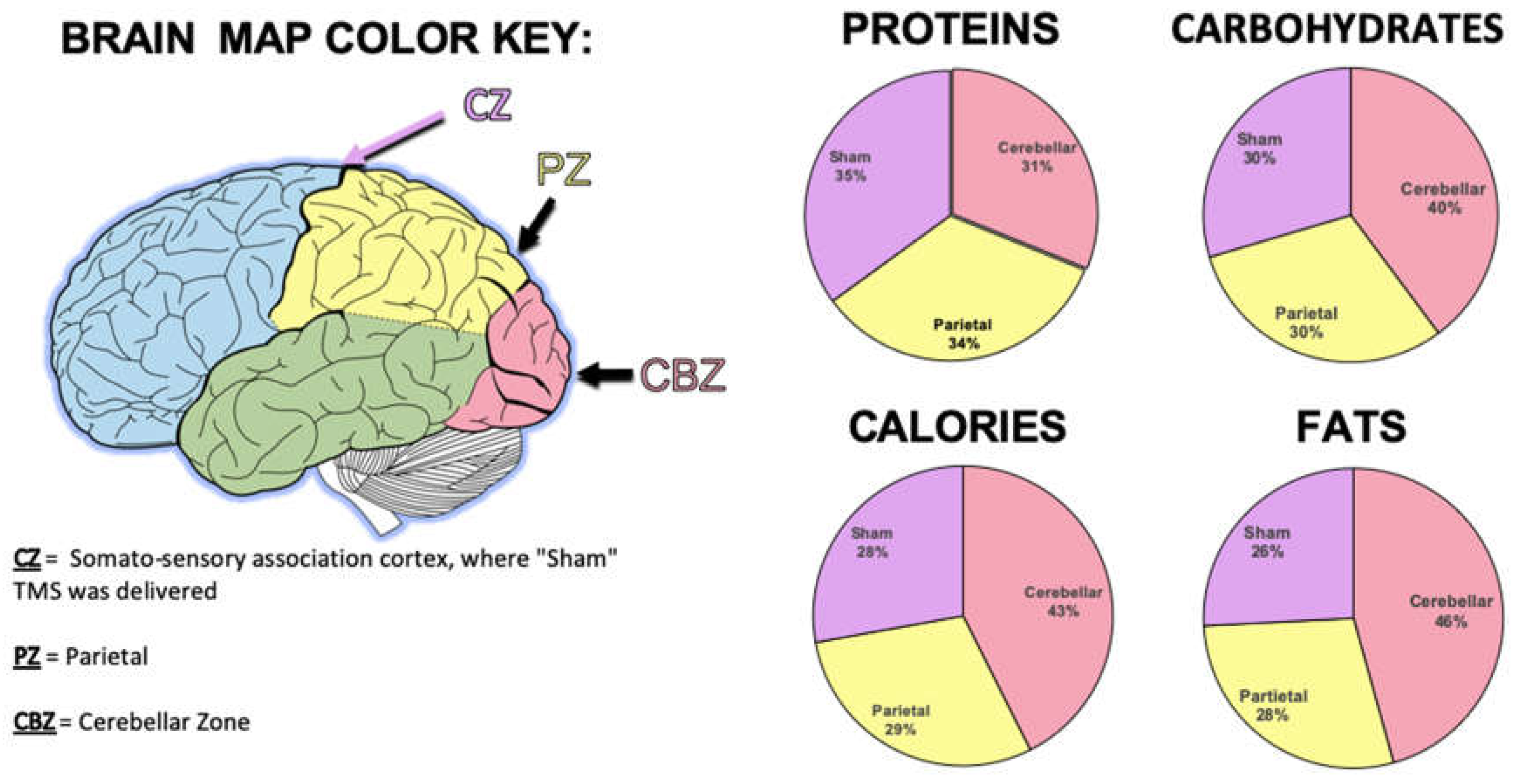 Preprints 72762 g003