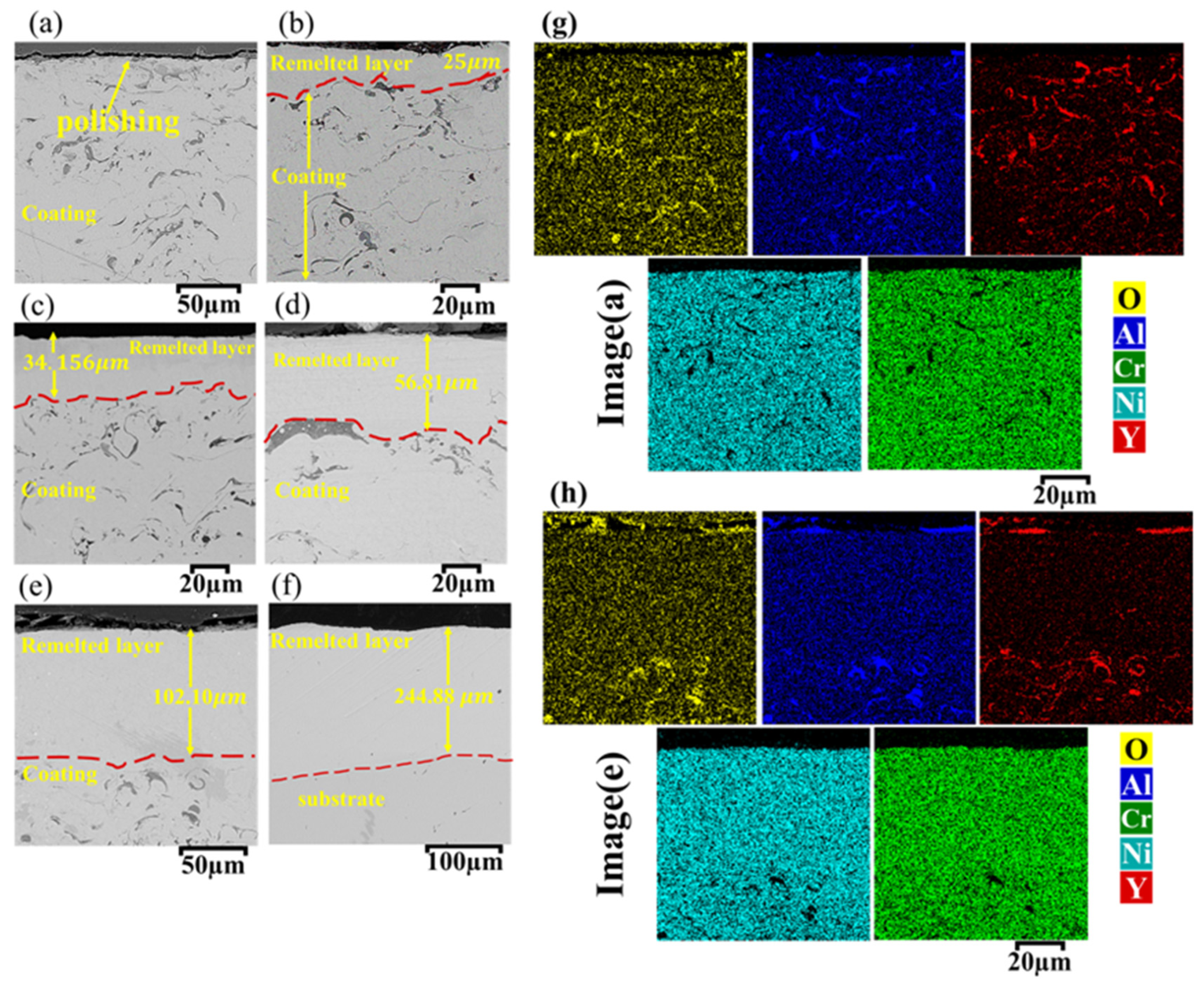 Preprints 104913 g004