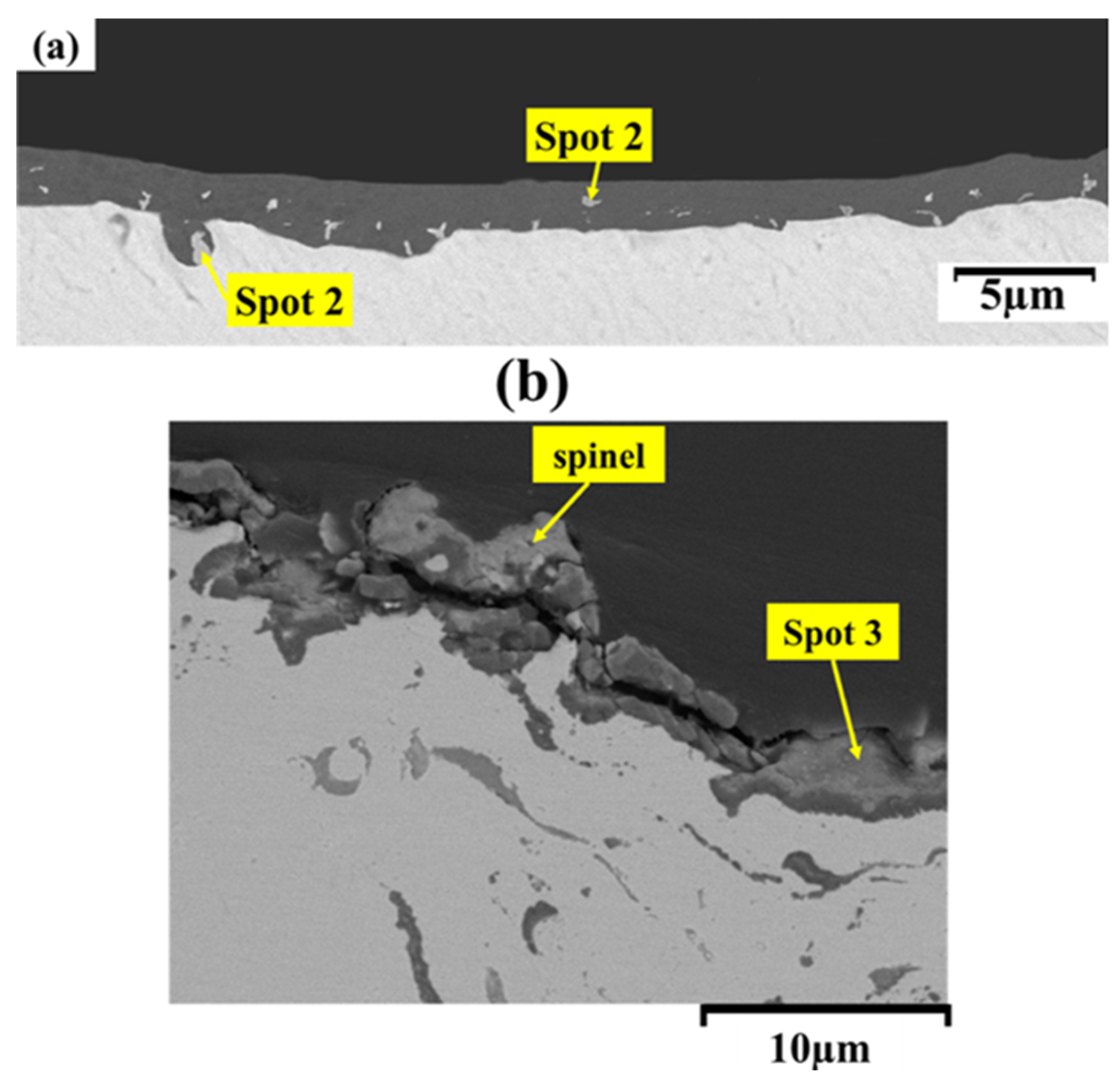 Preprints 104913 g010