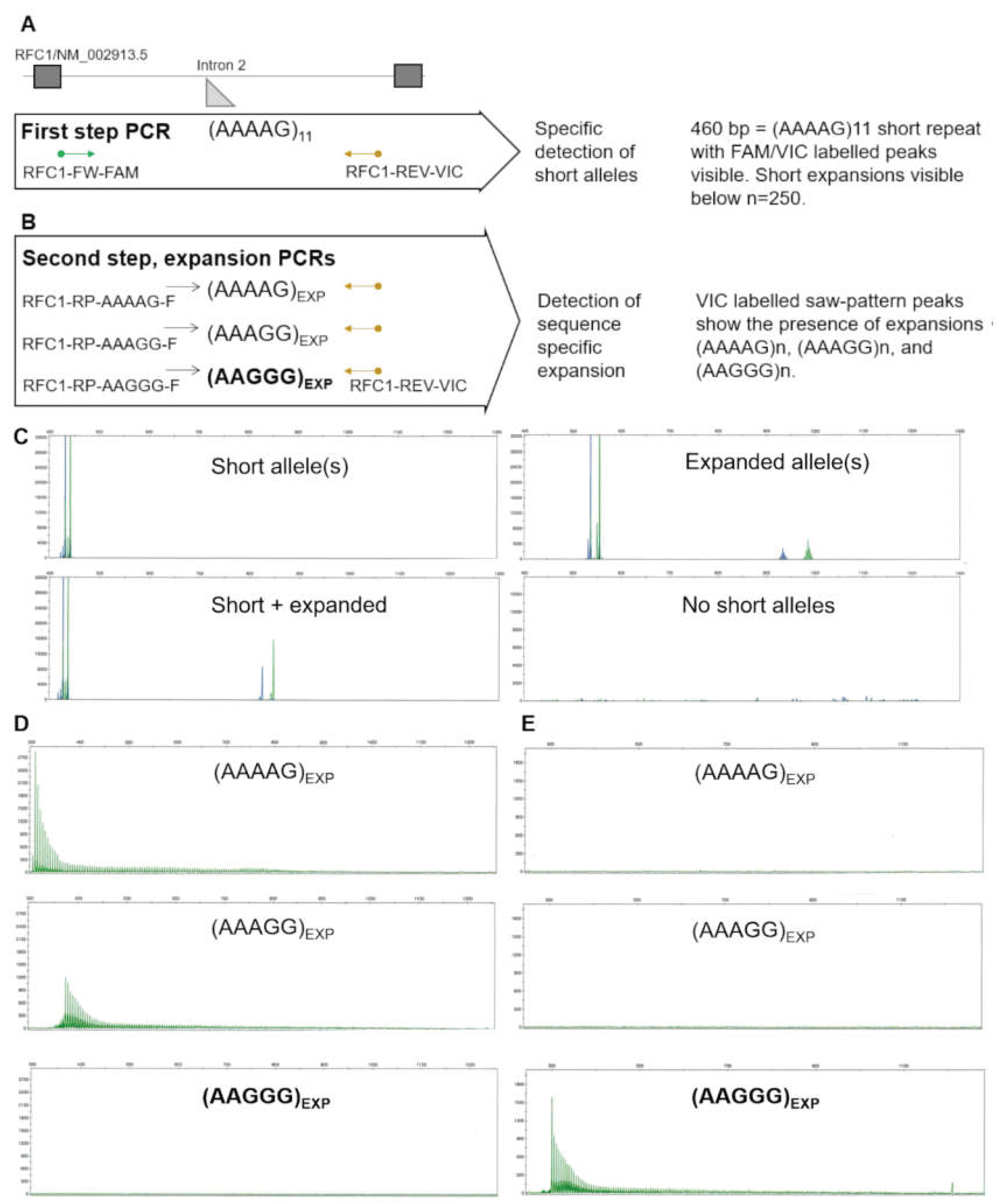 Preprints 100921 g002