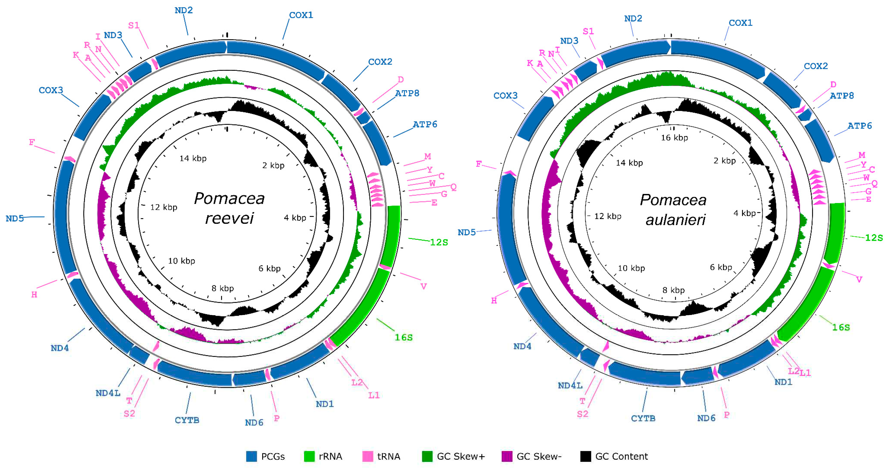 Preprints 79456 g001