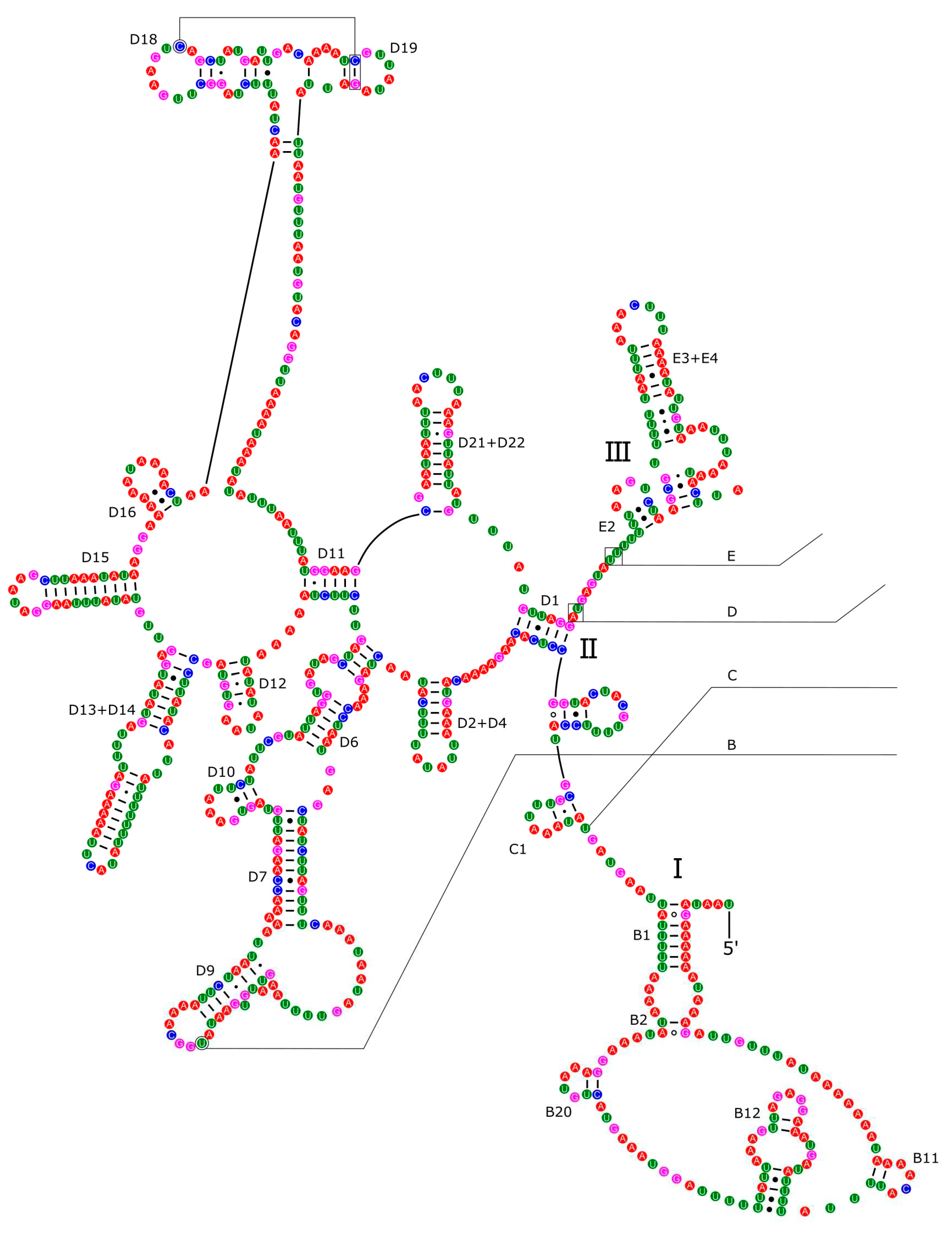 Preprints 79456 g009