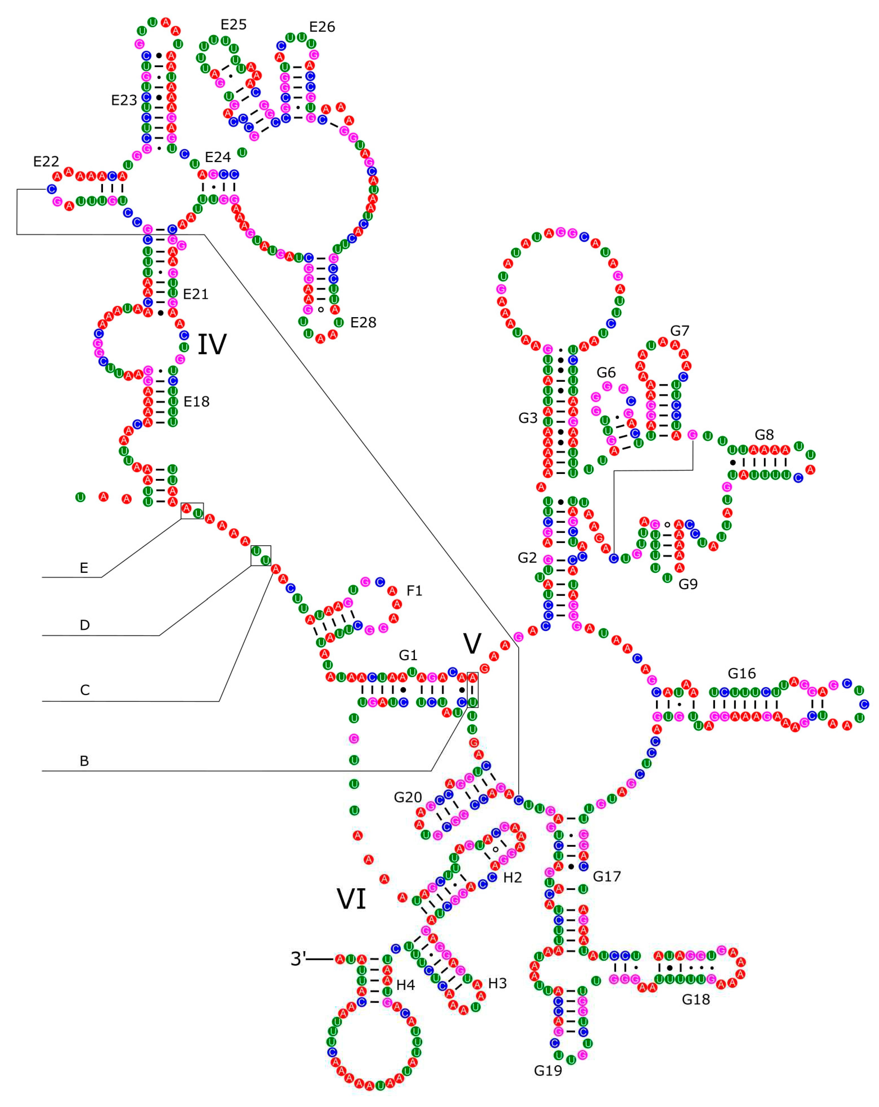 Preprints 79456 g010