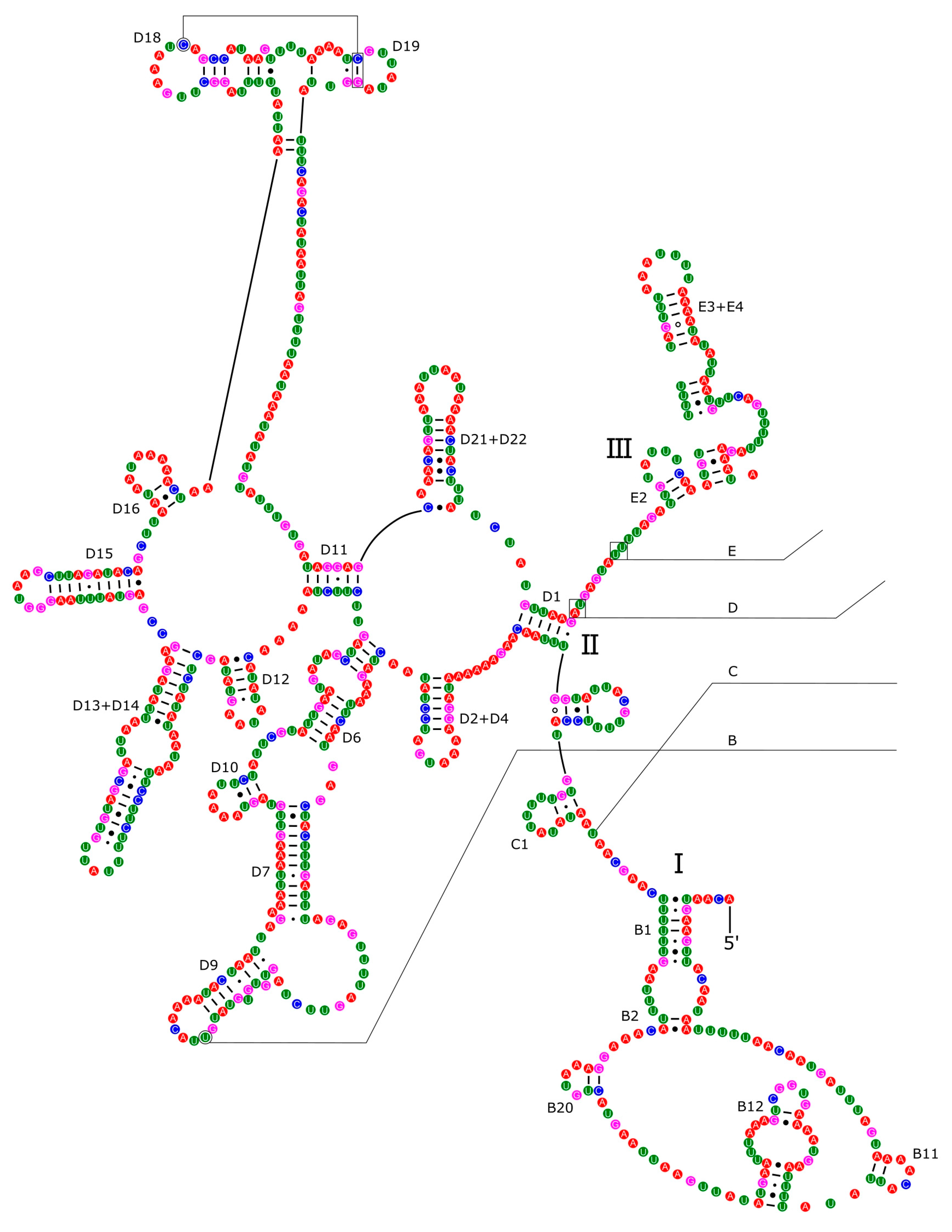 Preprints 79456 g011