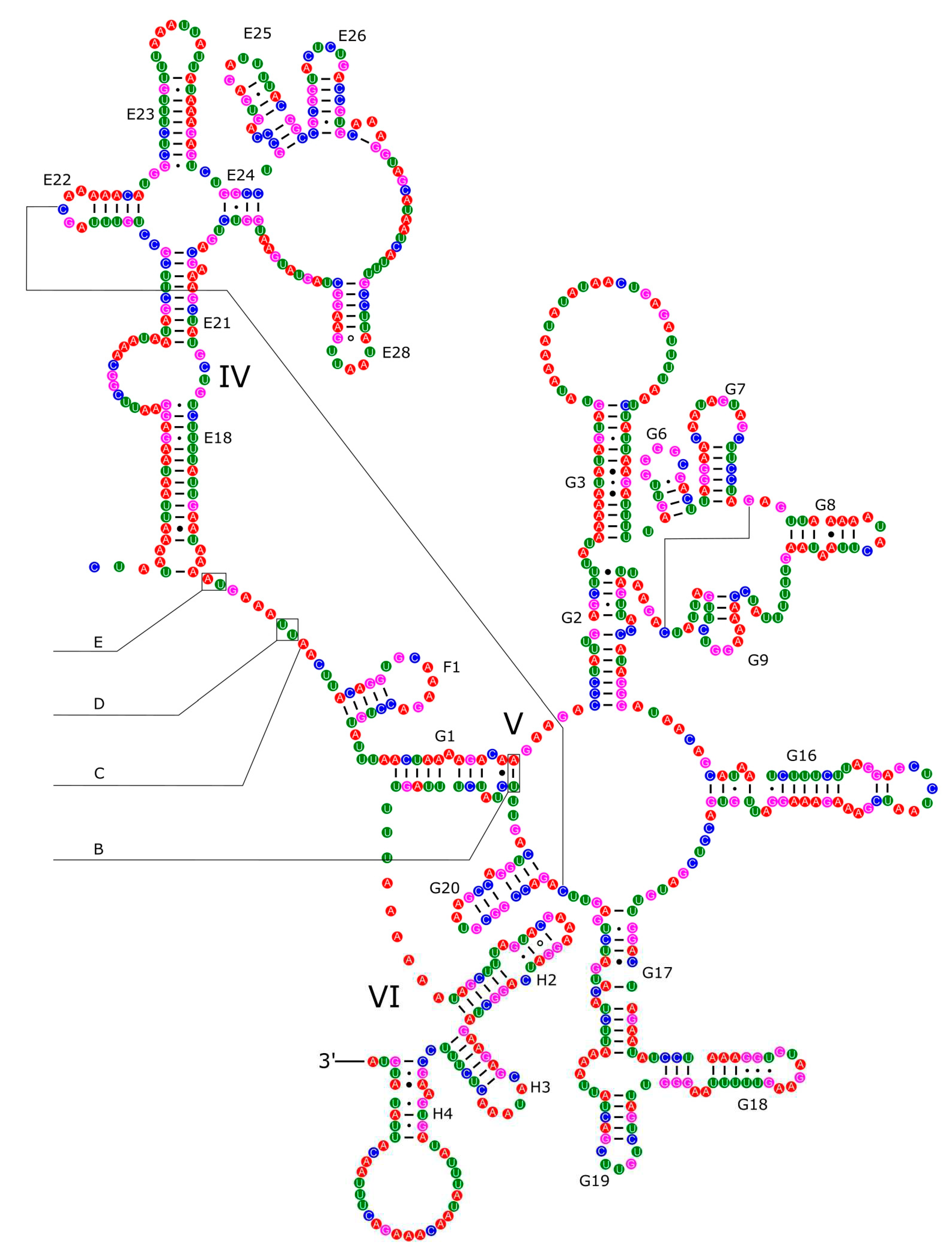 Preprints 79456 g012