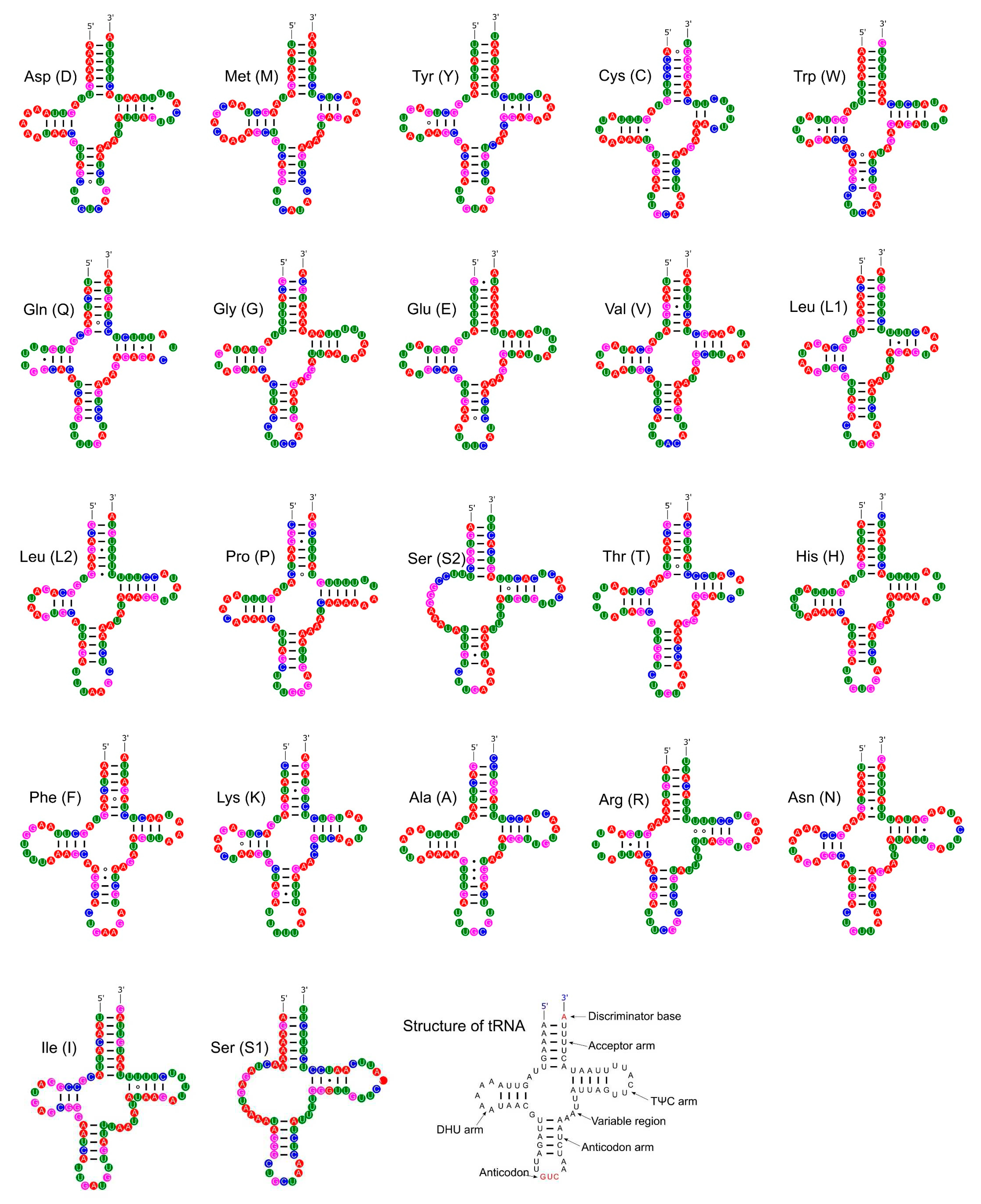 Preprints 79456 g013