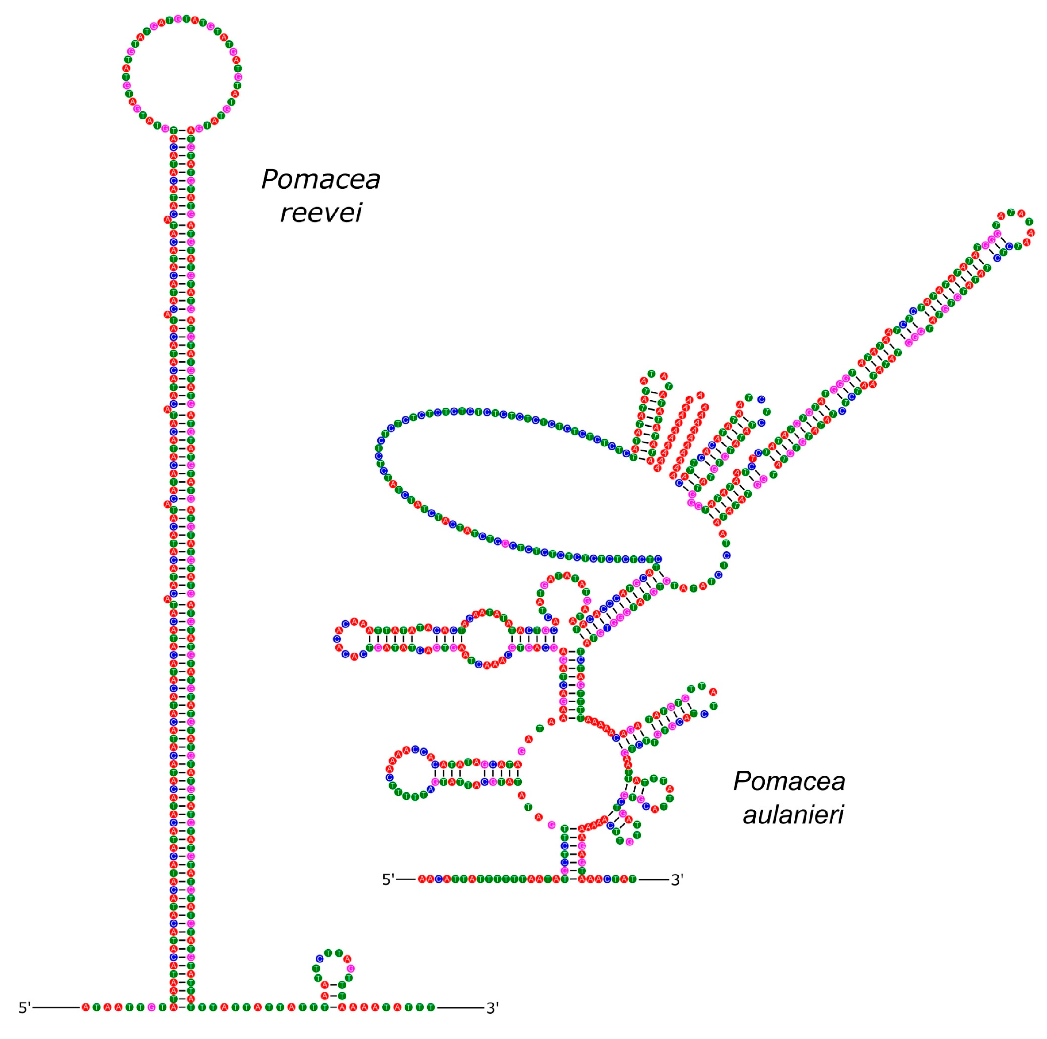 Preprints 79456 g015