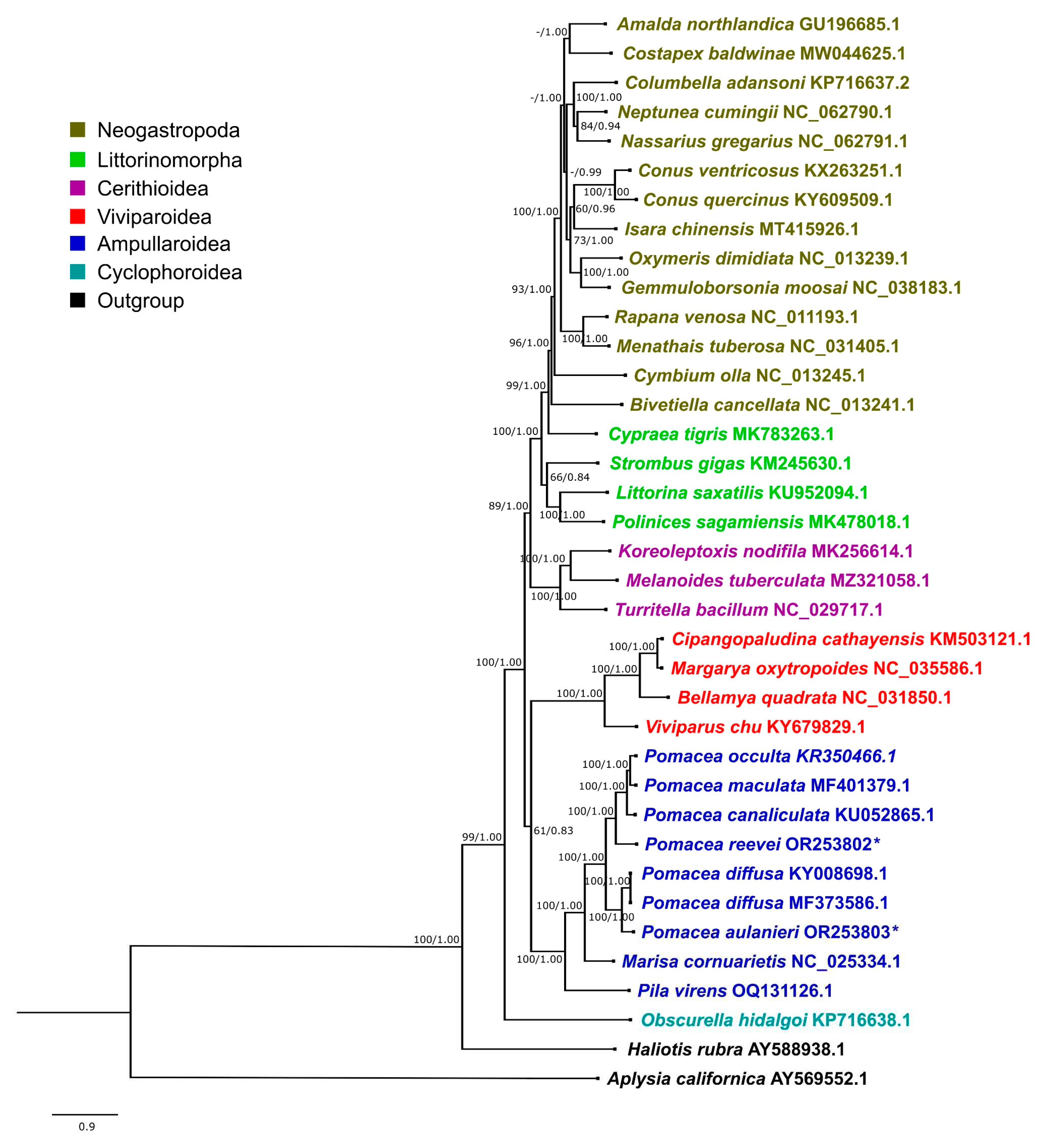 Preprints 79456 g018