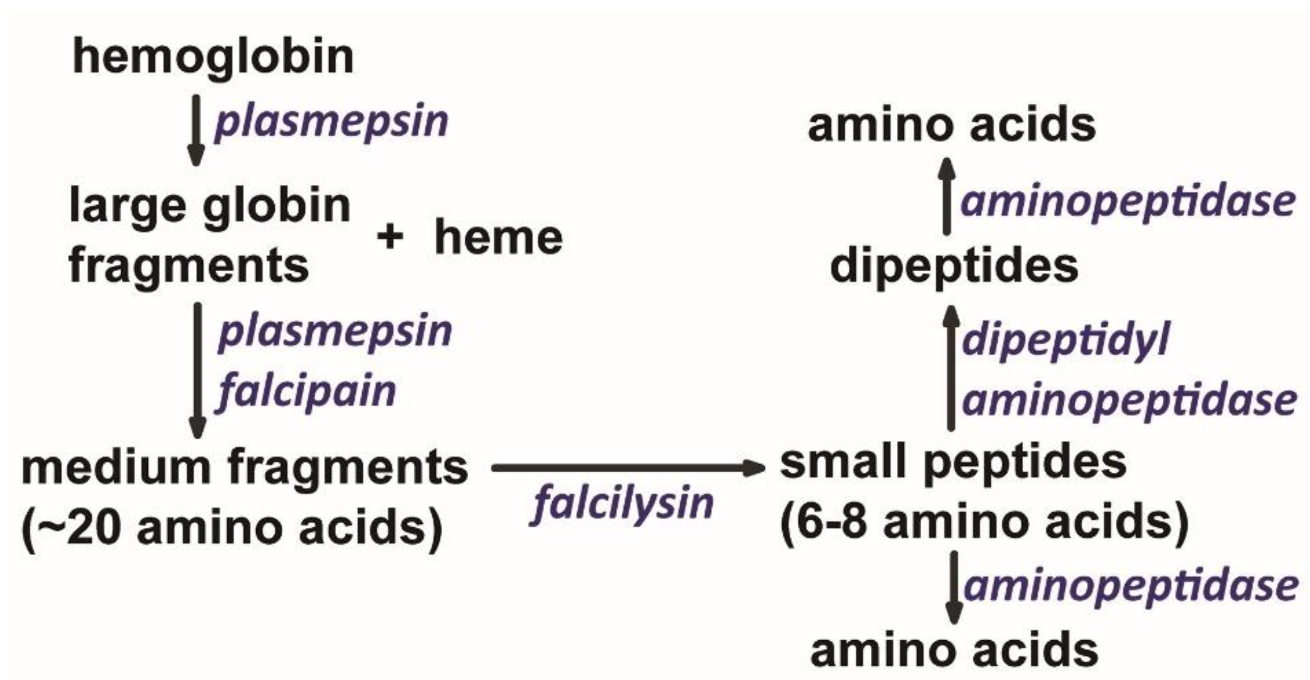 Preprints 98098 g002