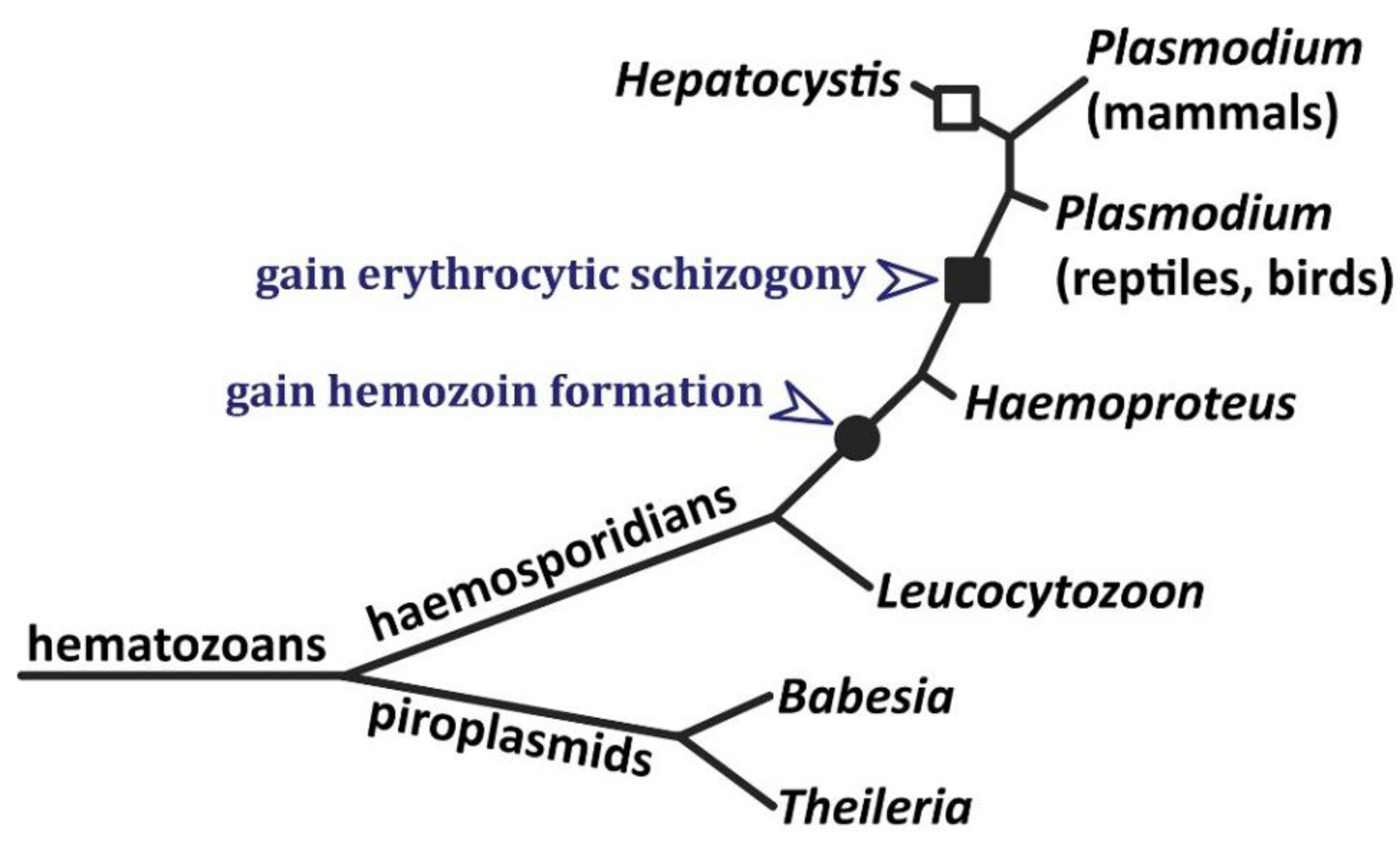 Preprints 98098 g003