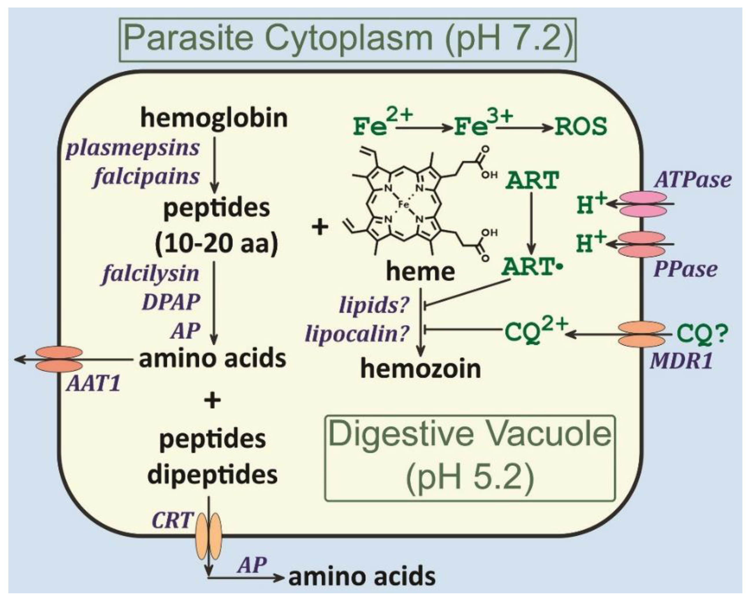 Preprints 98098 g004