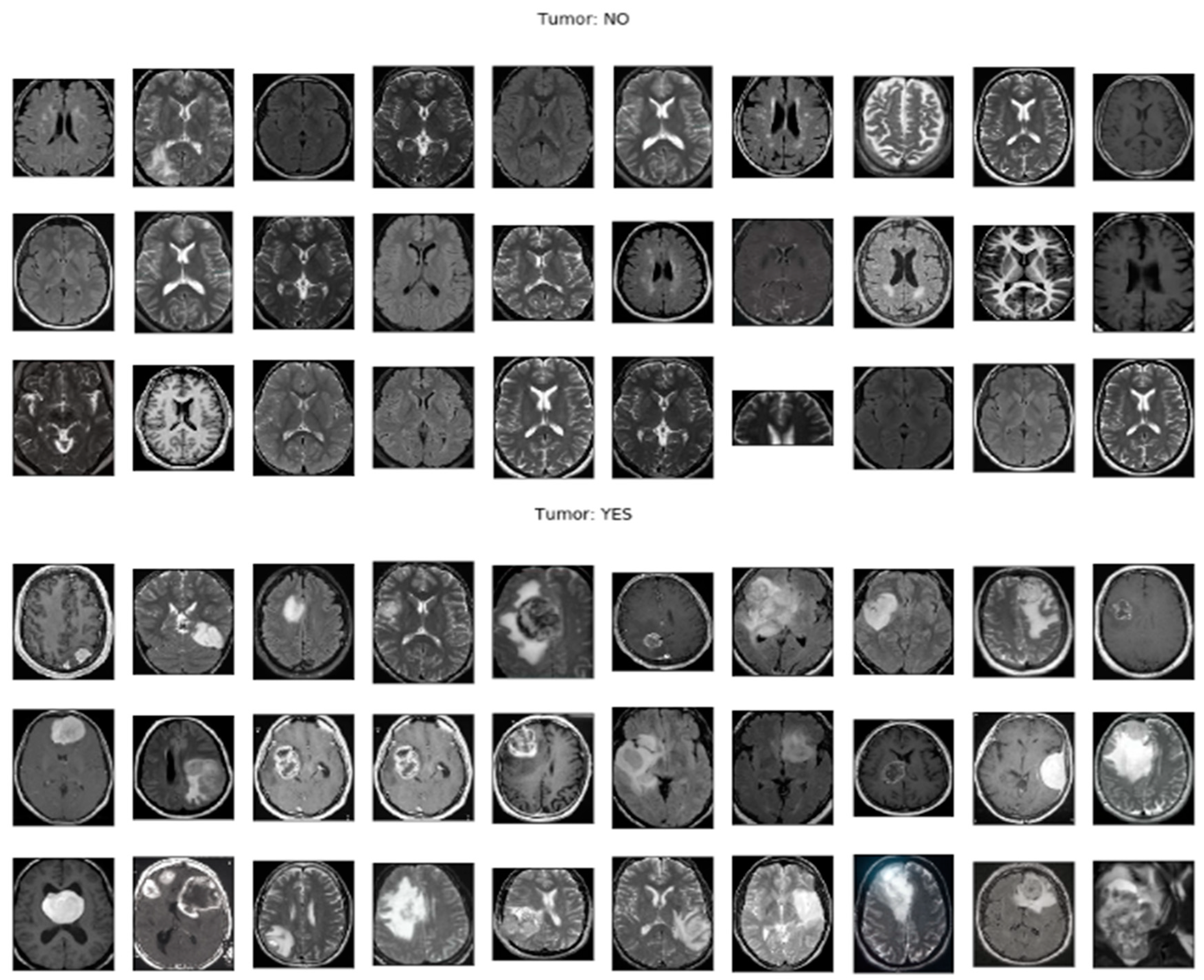 Preprints 82286 g001