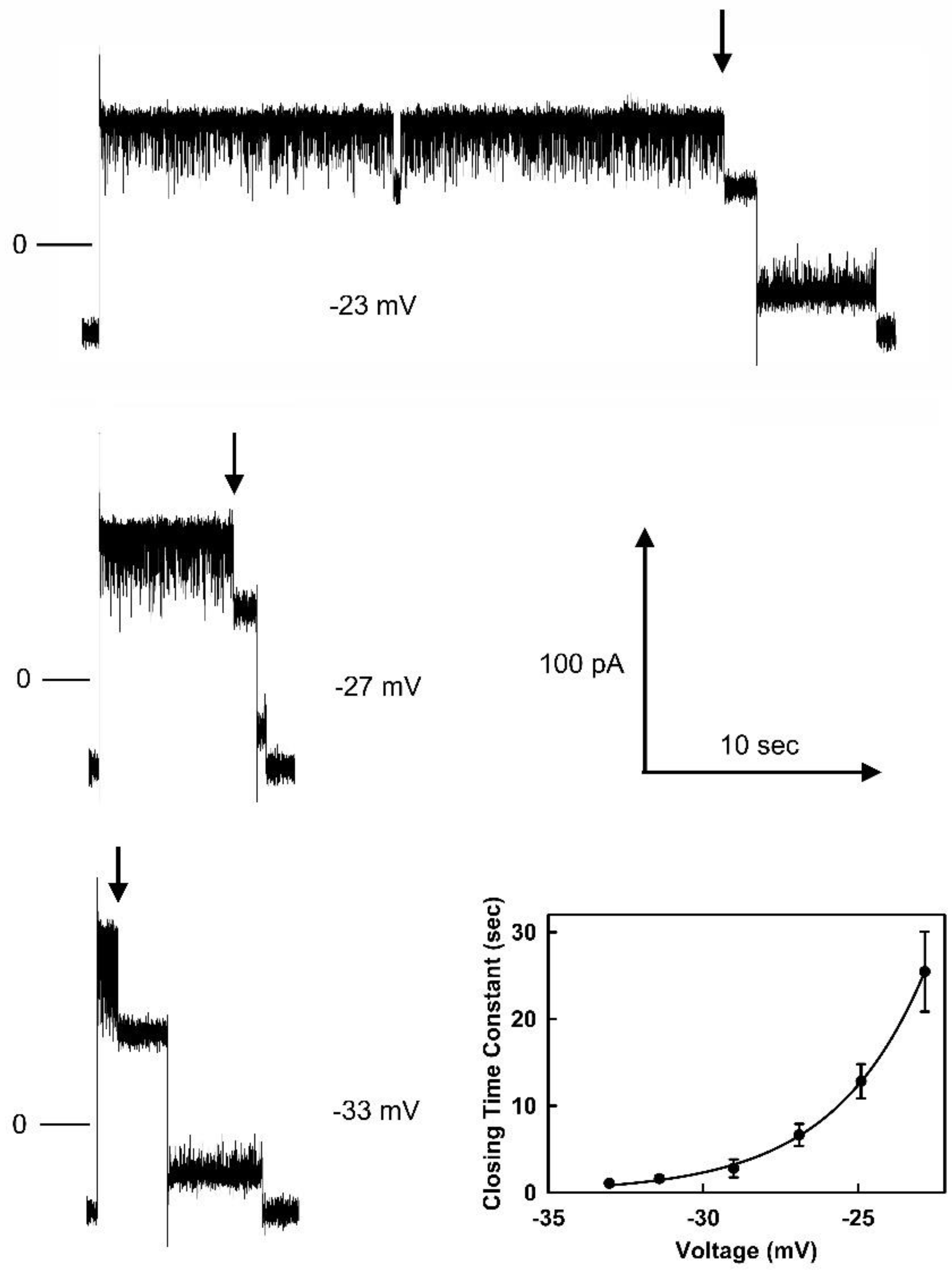 Preprints 77480 g003