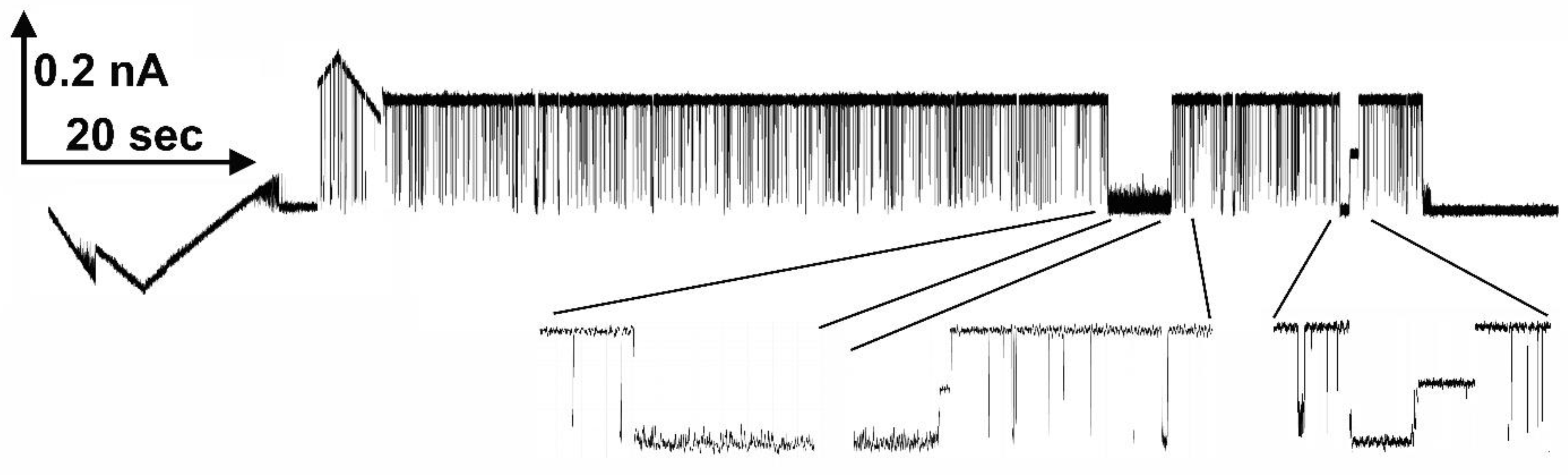 Preprints 77480 g008