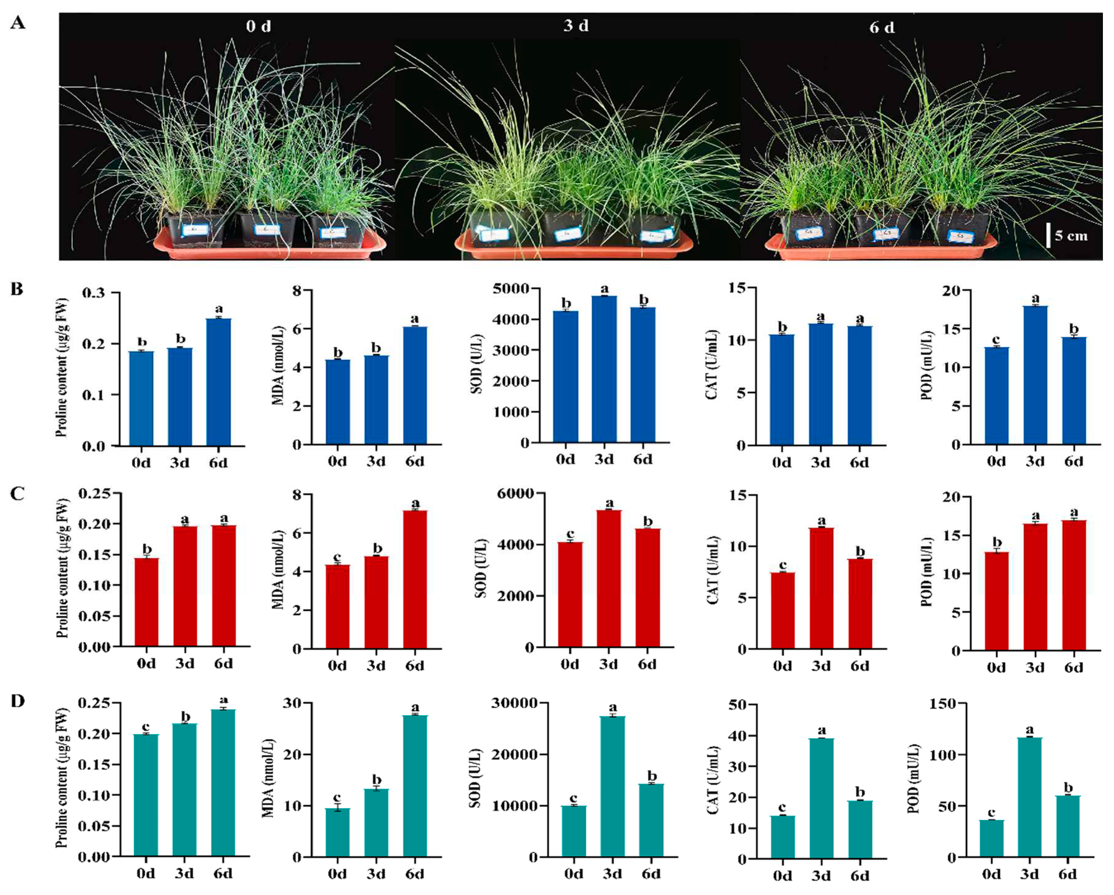 Preprints 89663 g001