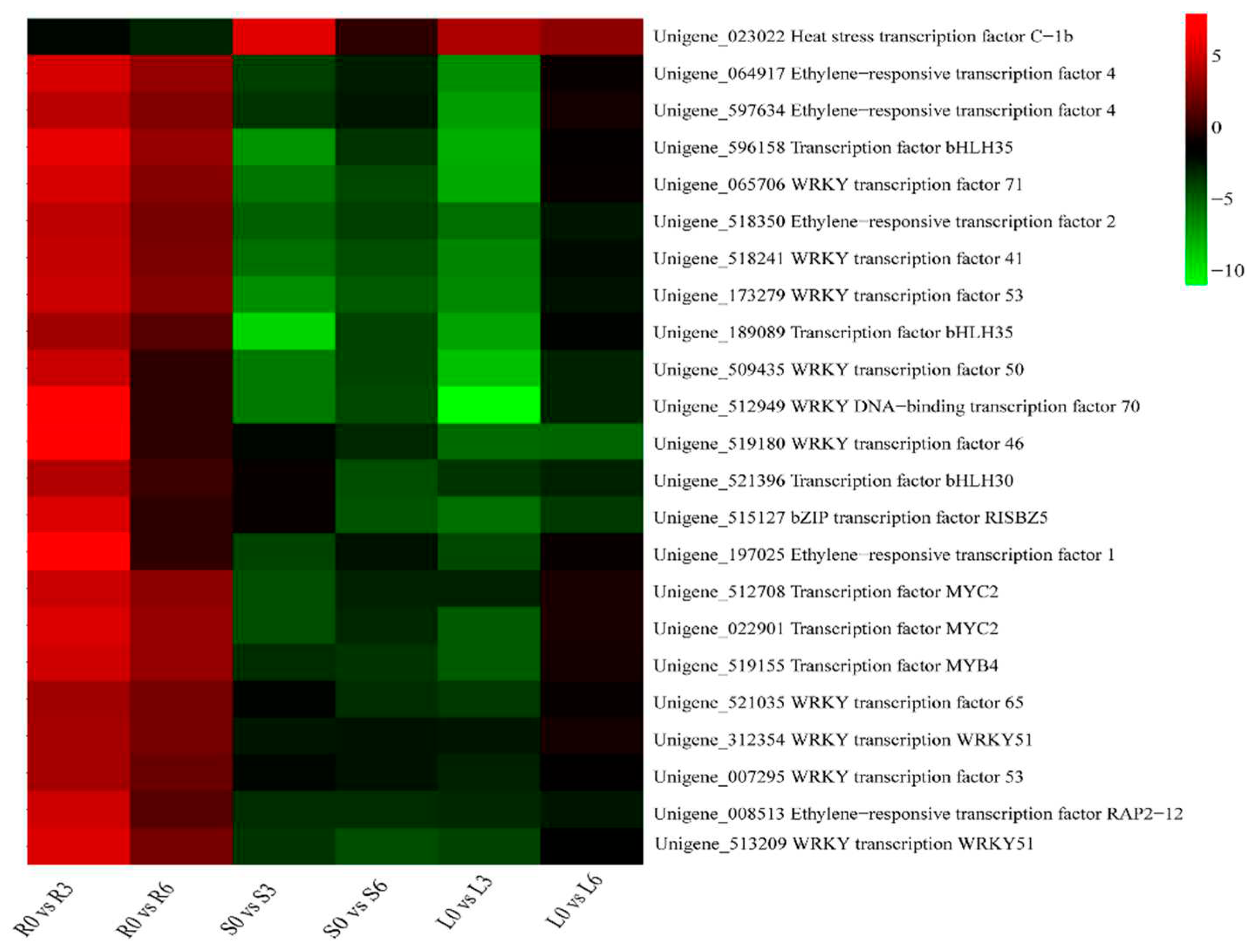 Preprints 89663 g006