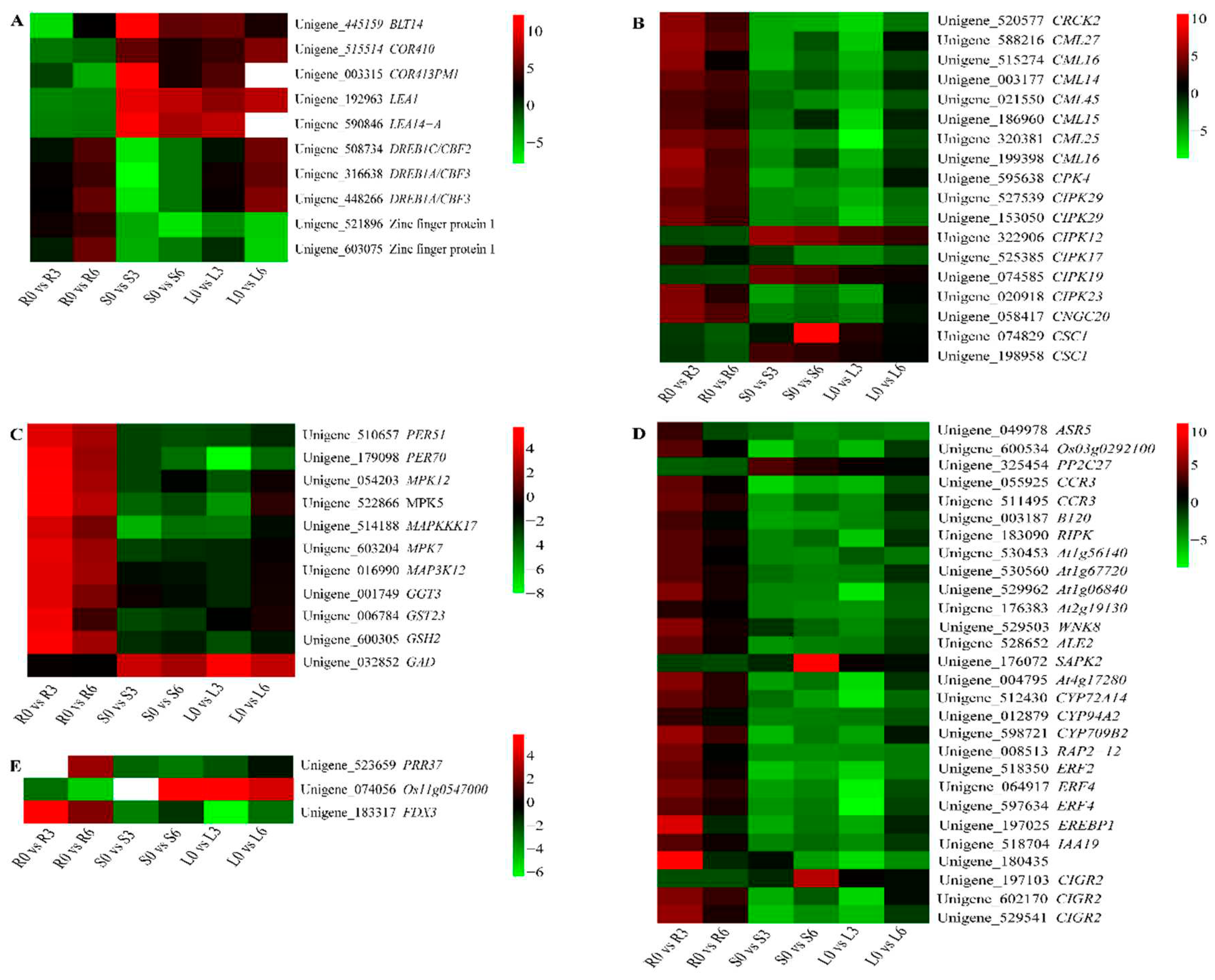 Preprints 89663 g007