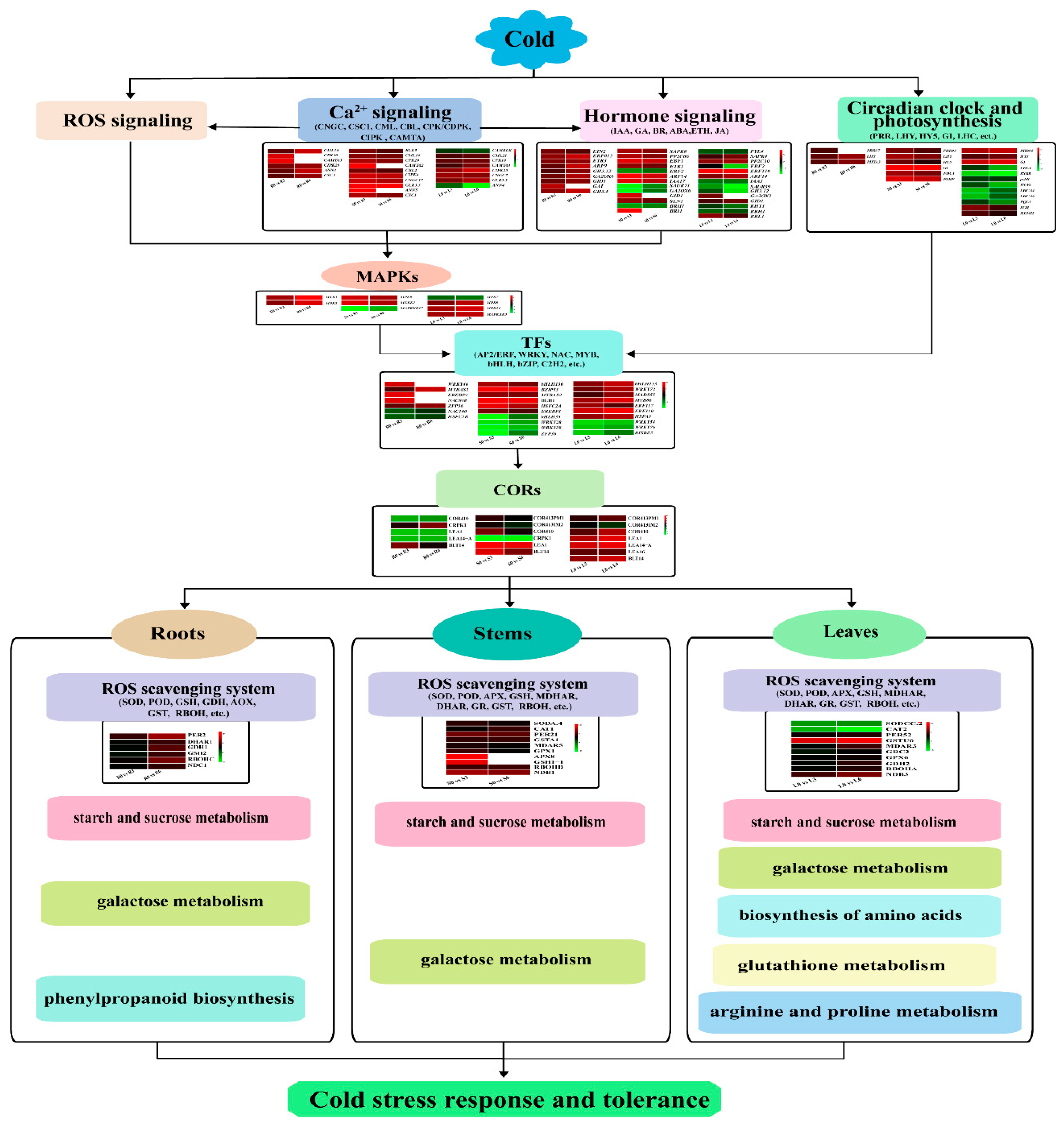 Preprints 89663 g011