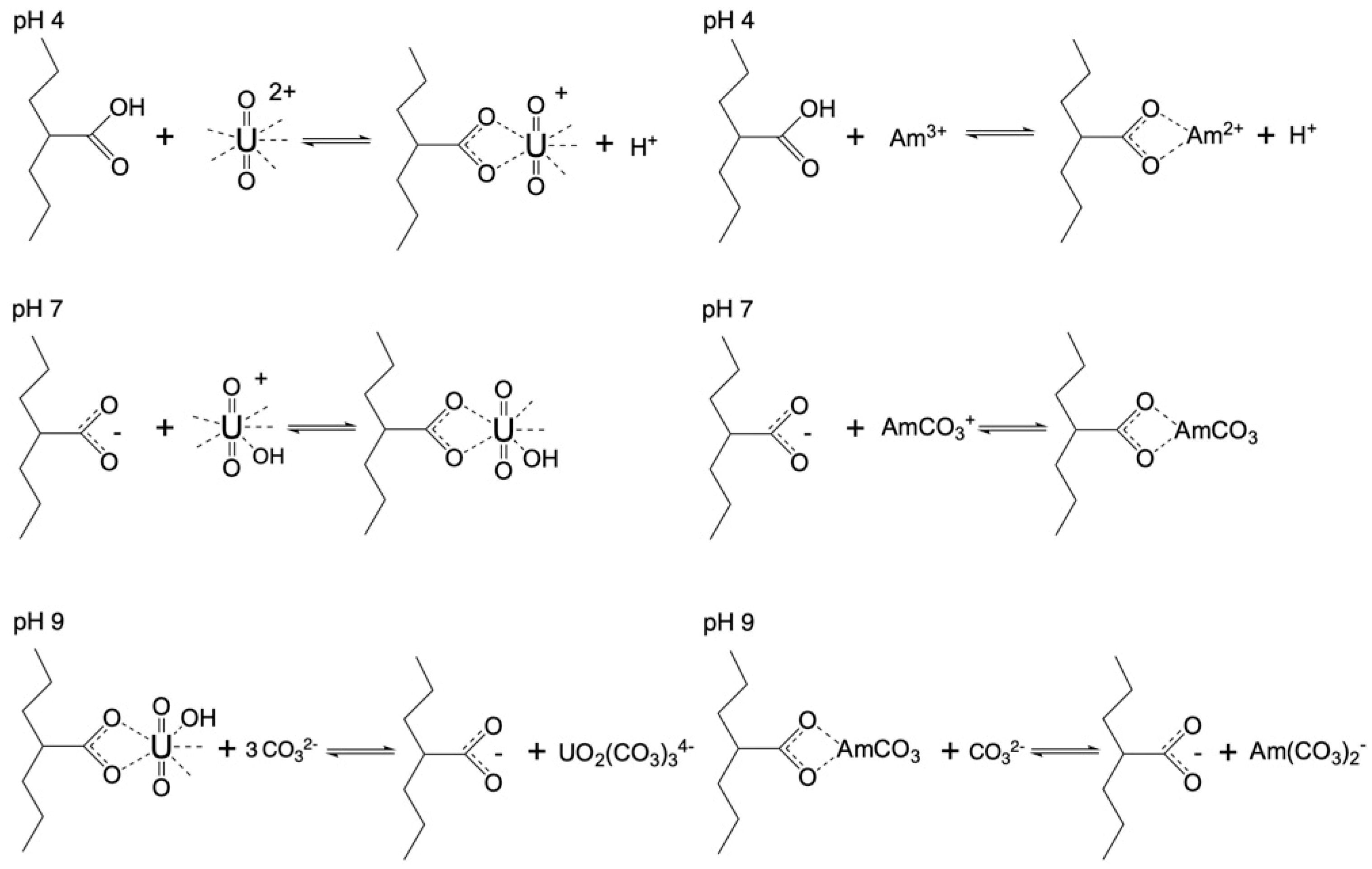 Preprints 90177 g004