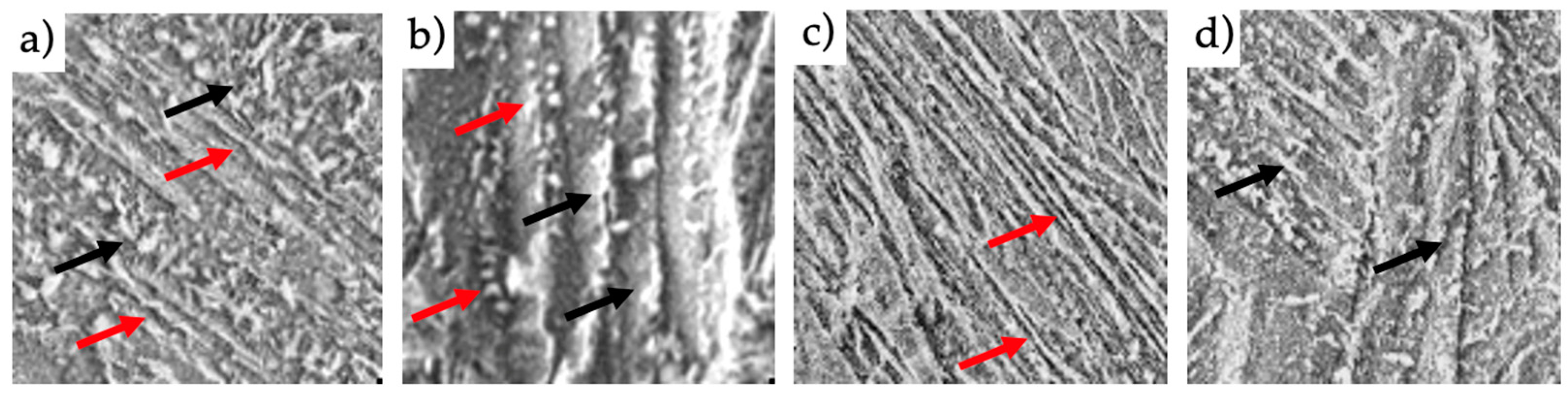 Preprints 78969 g013