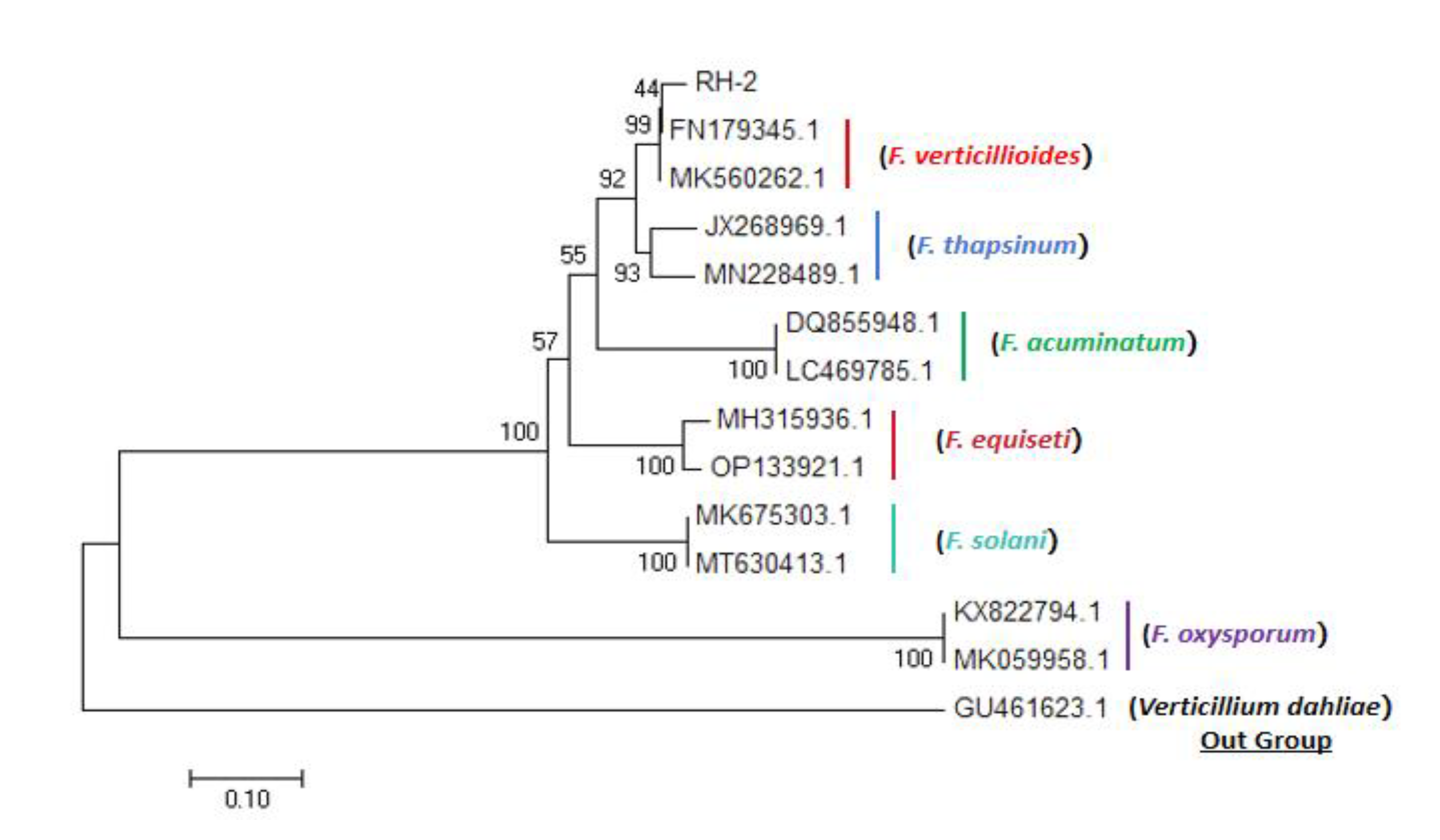 Preprints 102523 g004