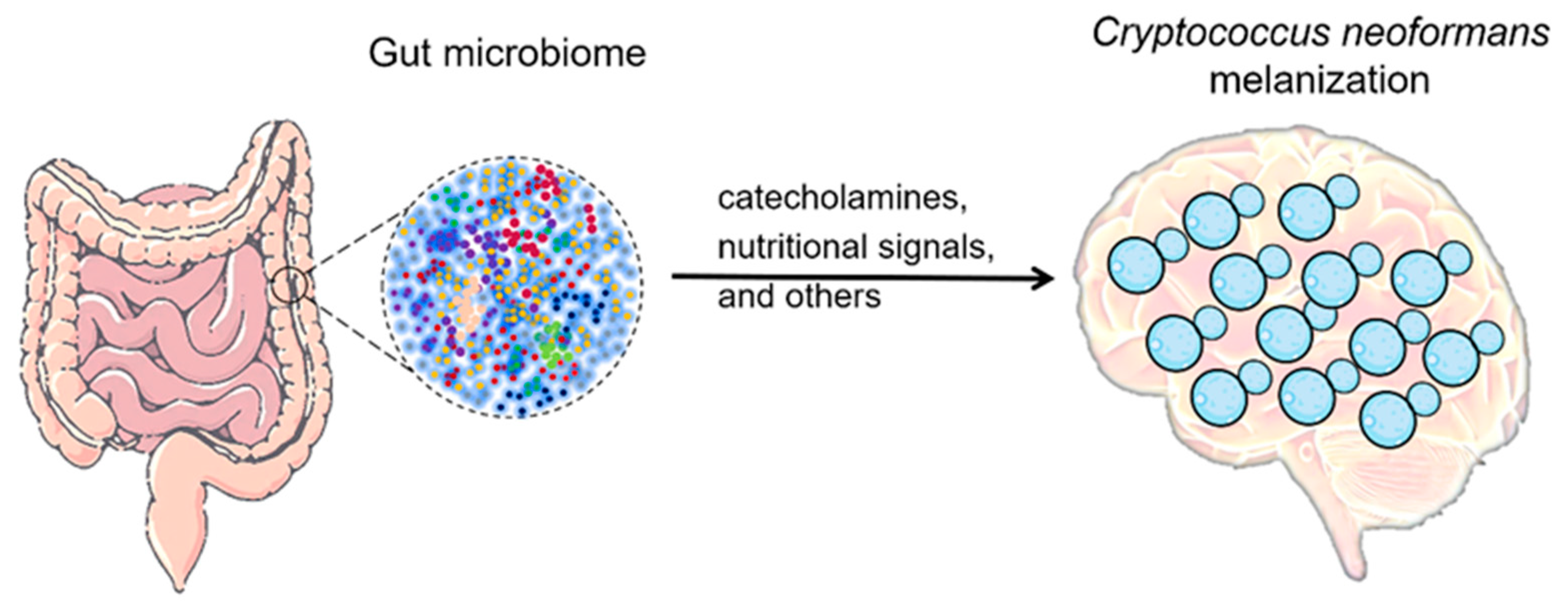 Preprints 82045 g002