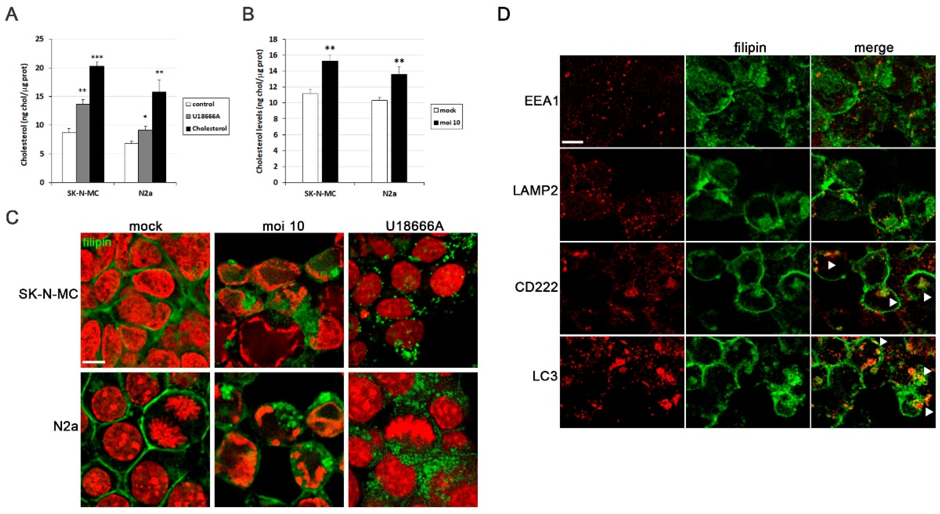 Preprints 104049 g001