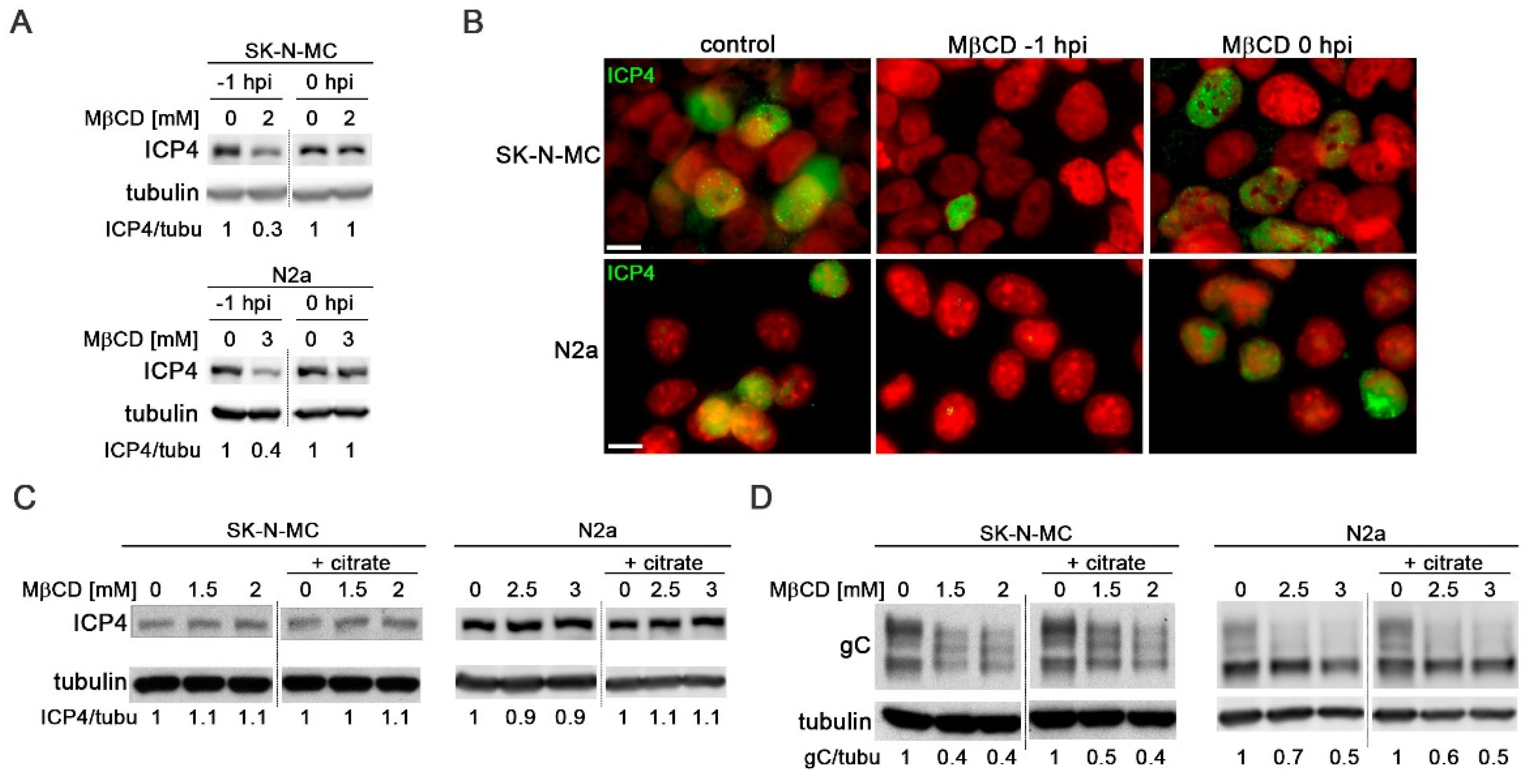 Preprints 104049 g004