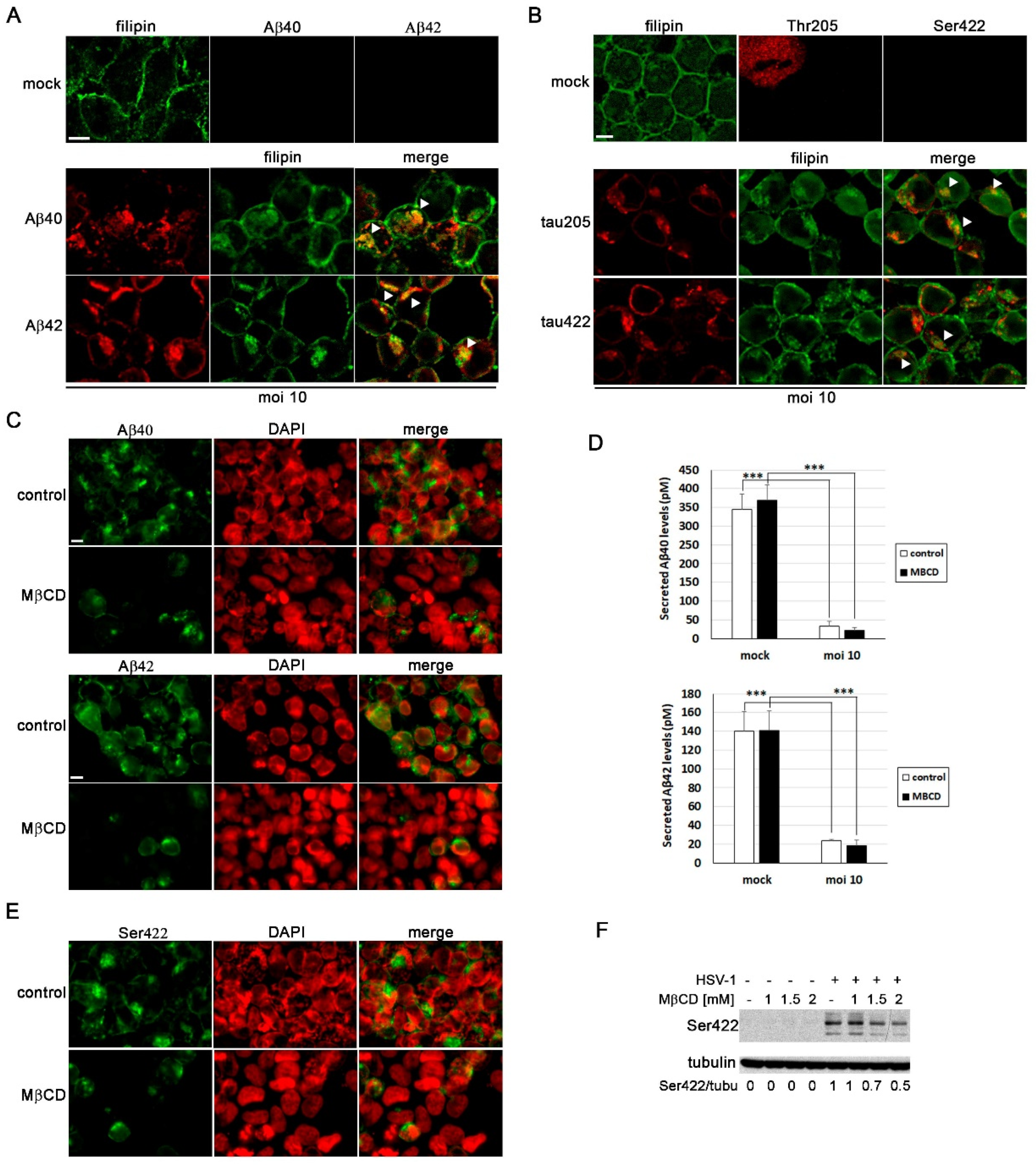 Preprints 104049 g006