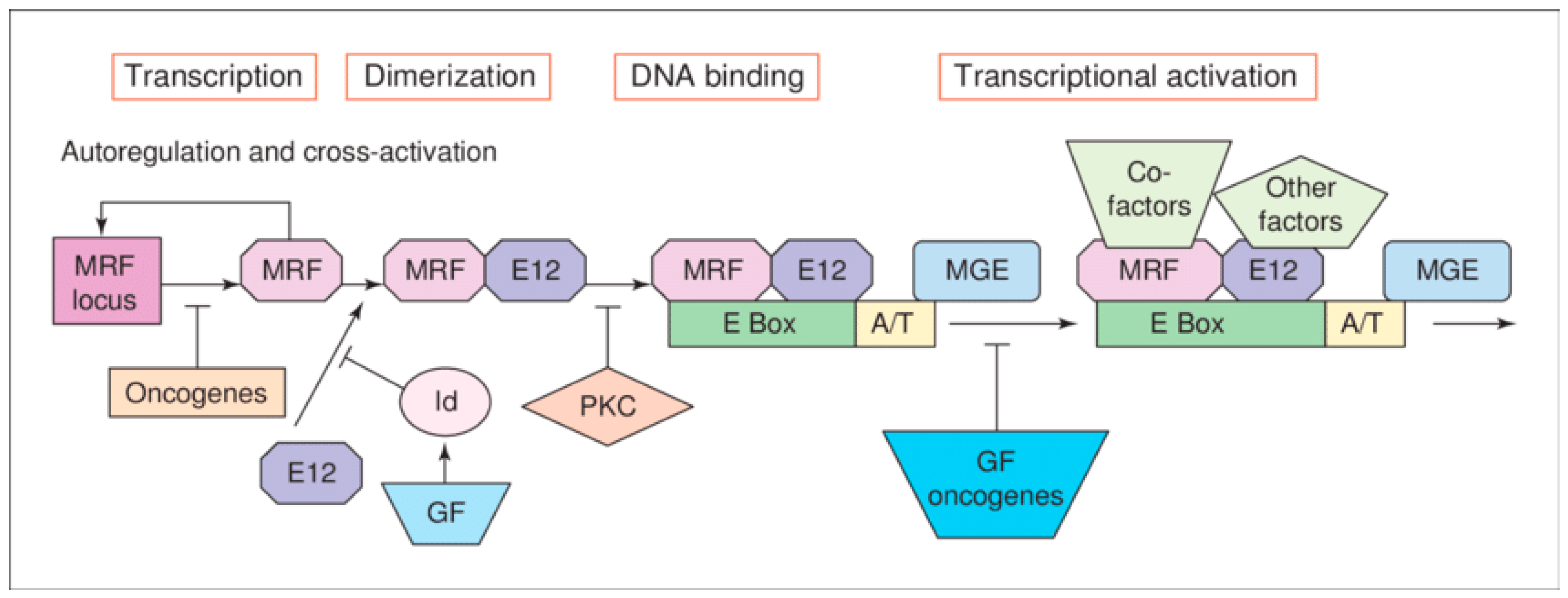 Preprints 89577 g001