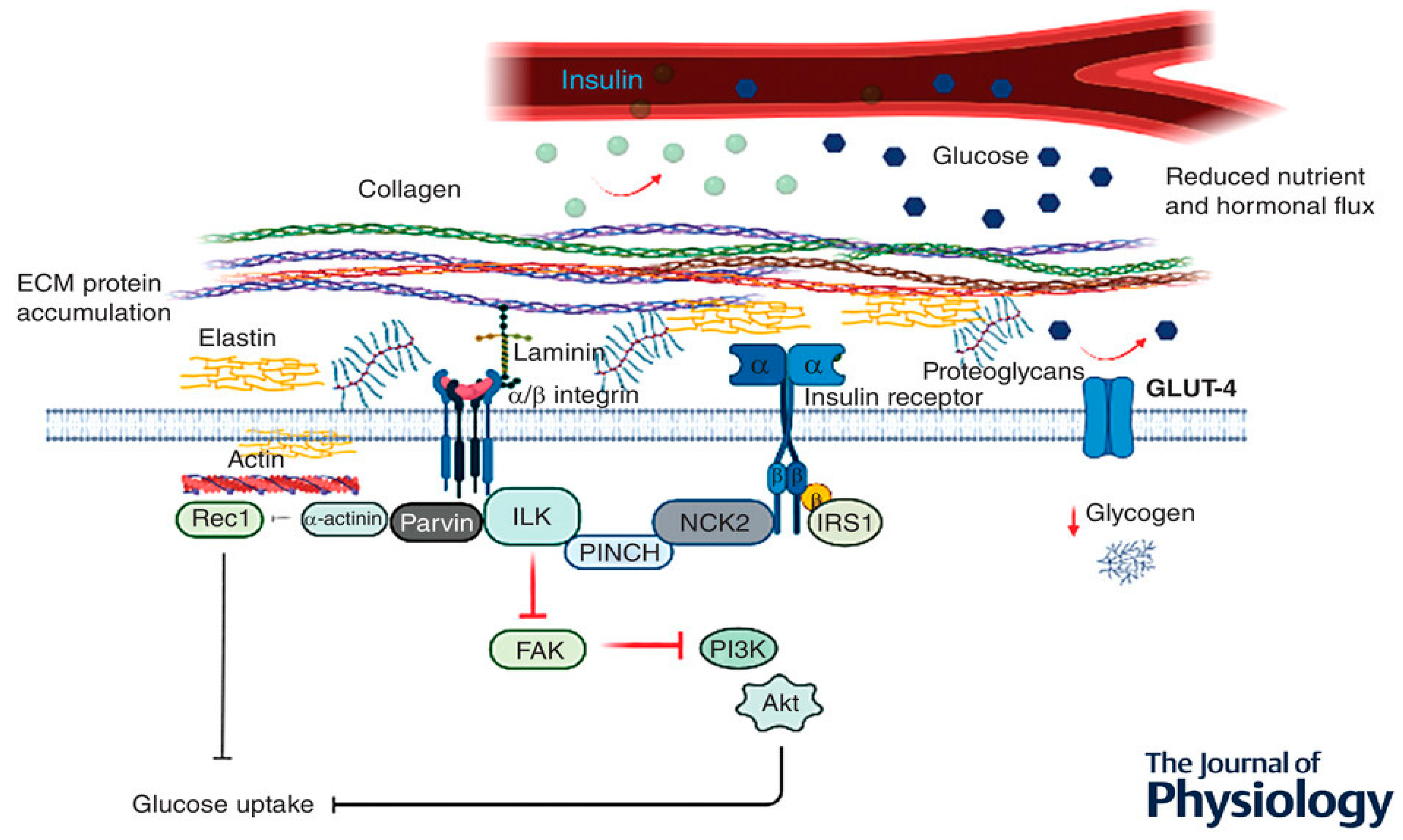 Preprints 89577 g005