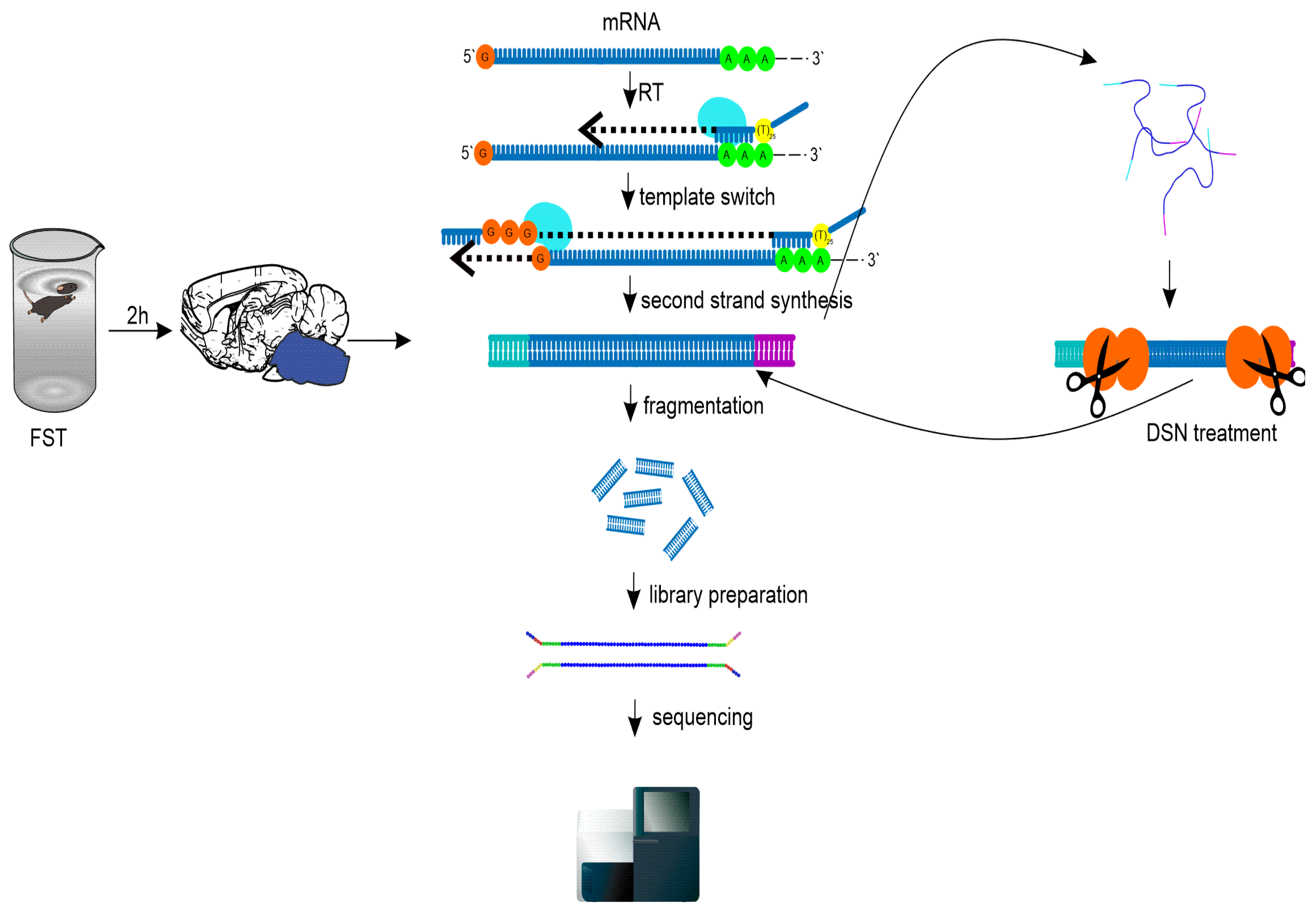 Preprints 88848 g001