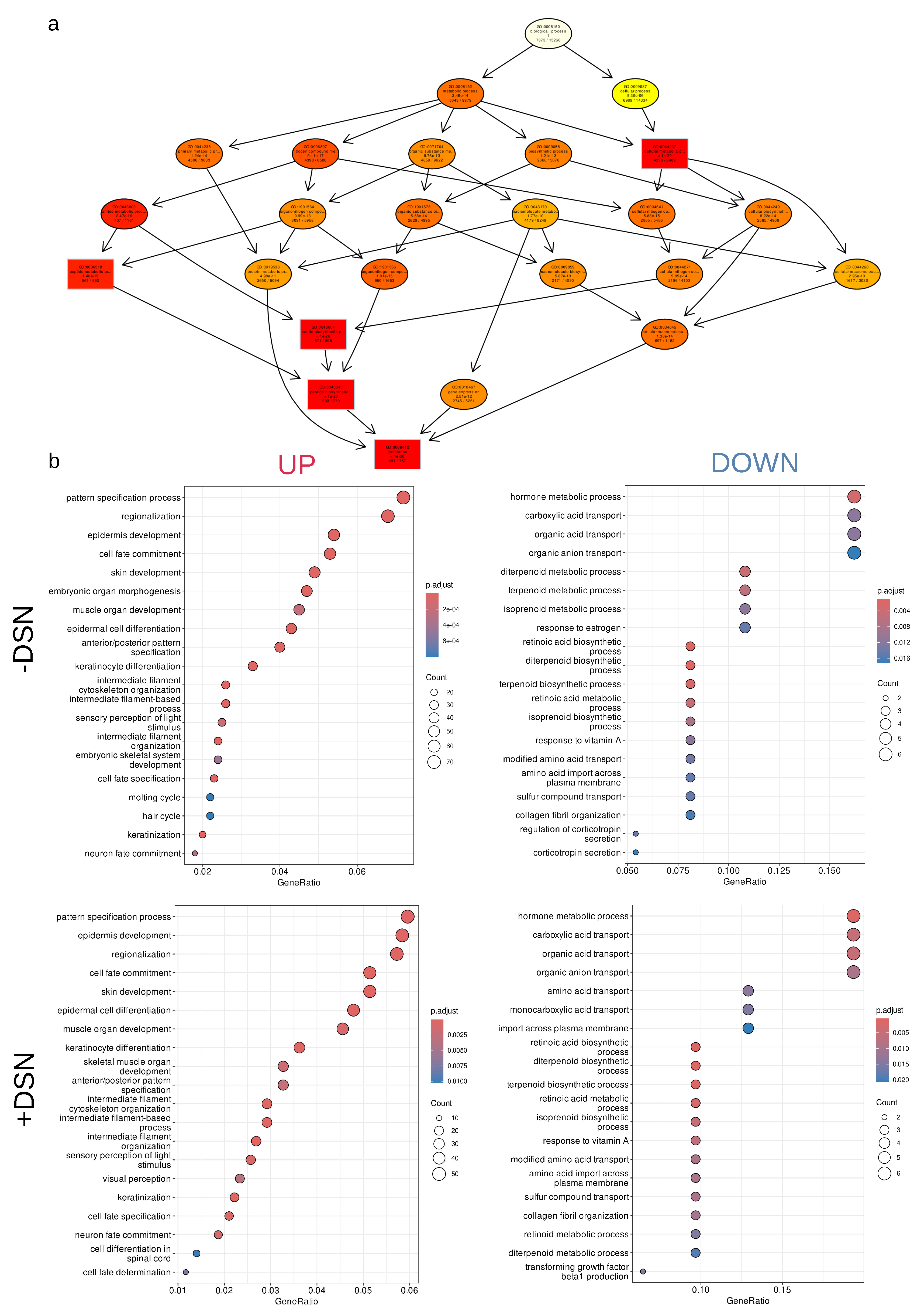 Preprints 88848 g004