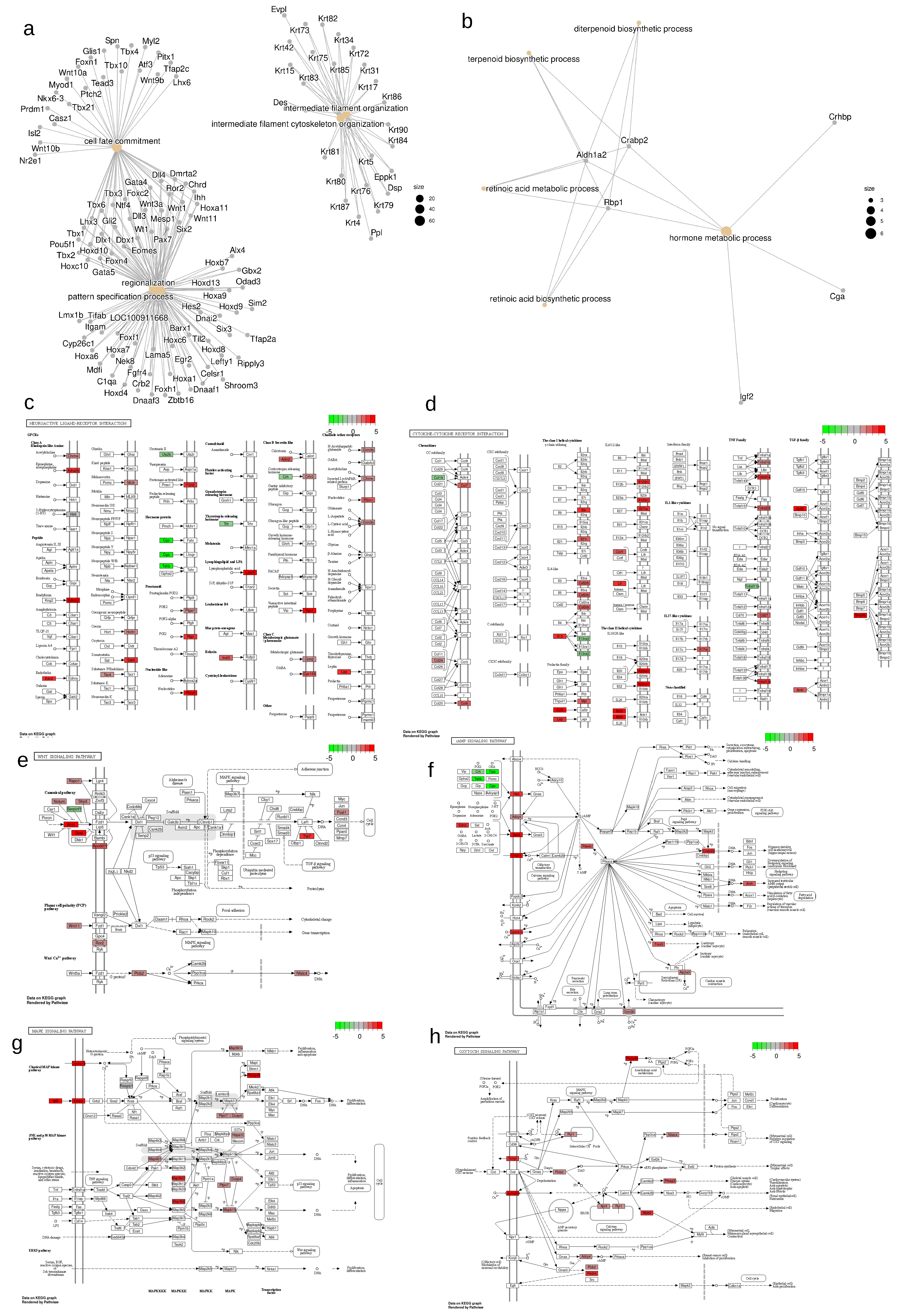 Preprints 88848 g005