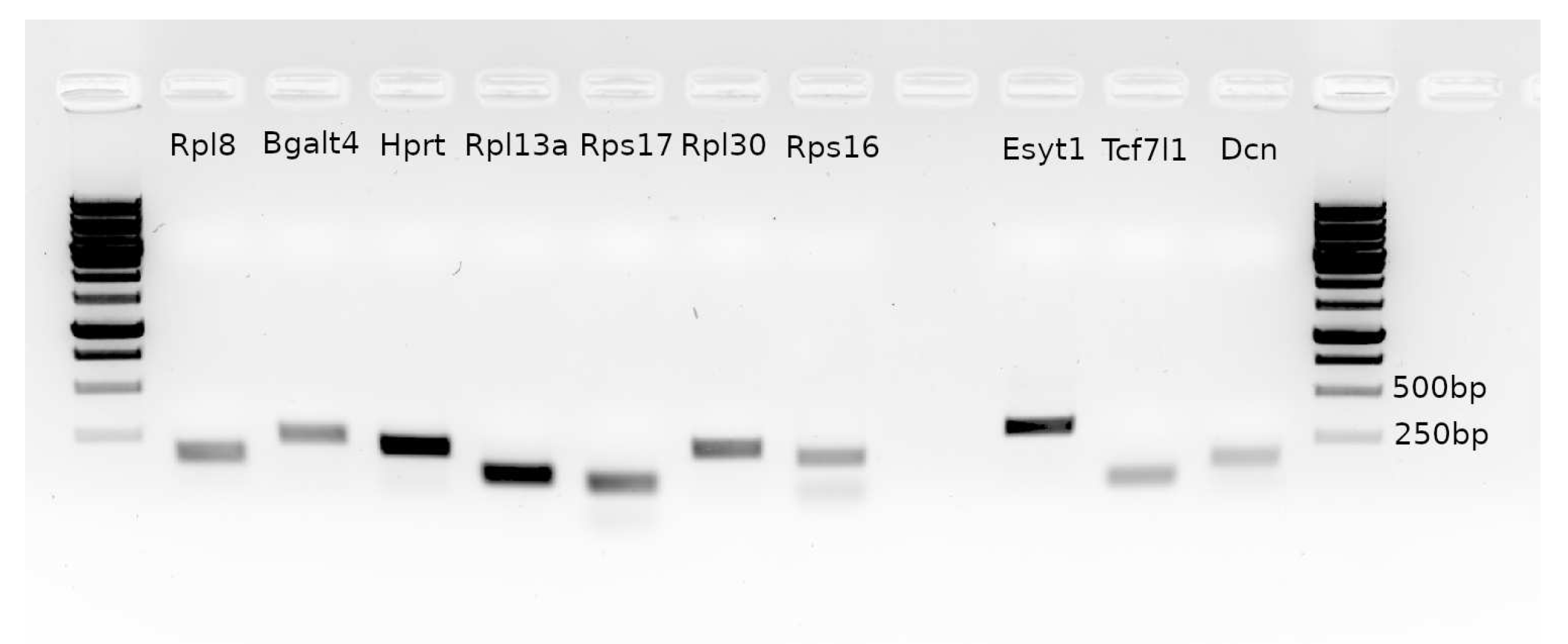 Preprints 88848 g0a1